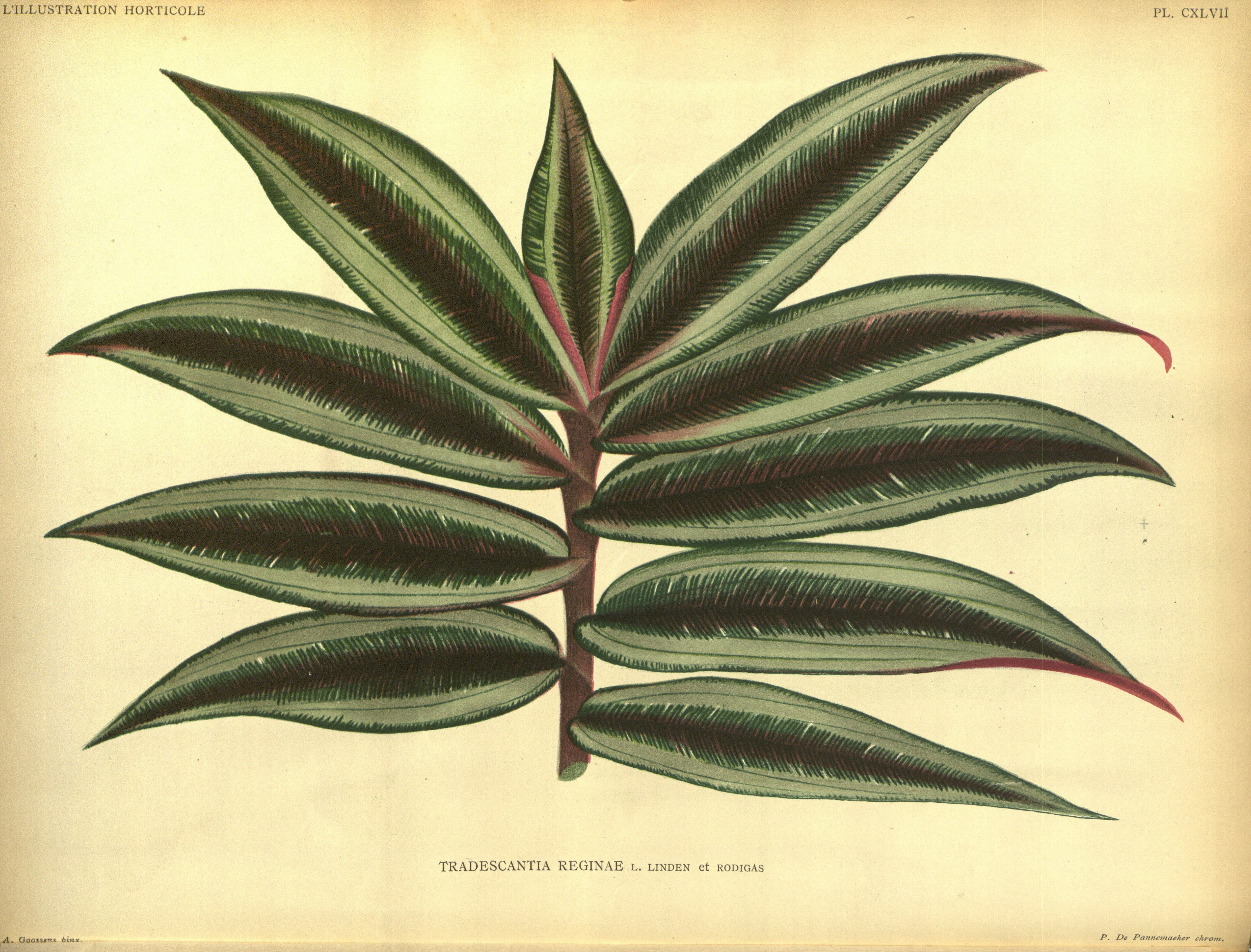 no full size  illustration available (3a)