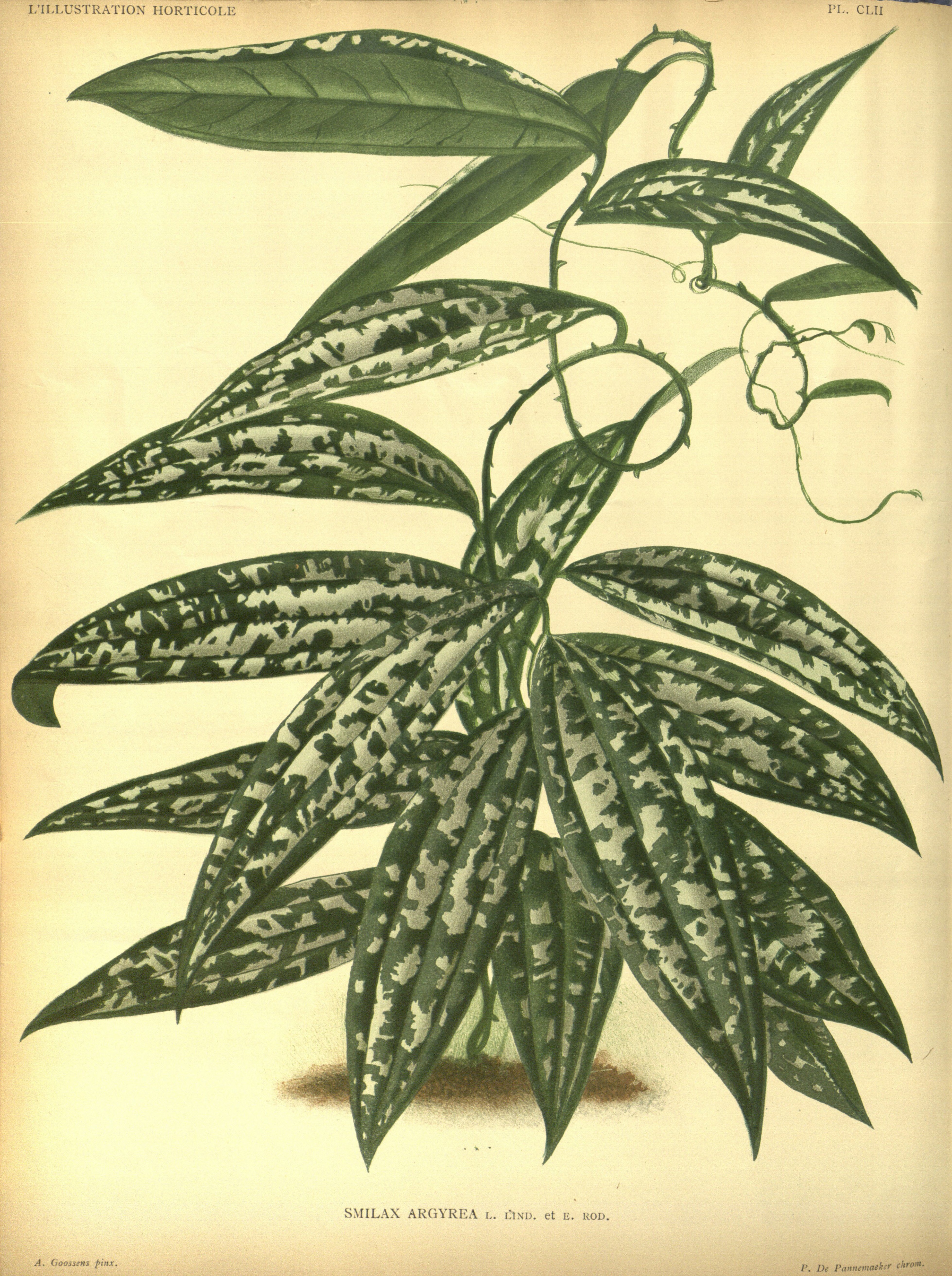 no full size  illustration available (3a)