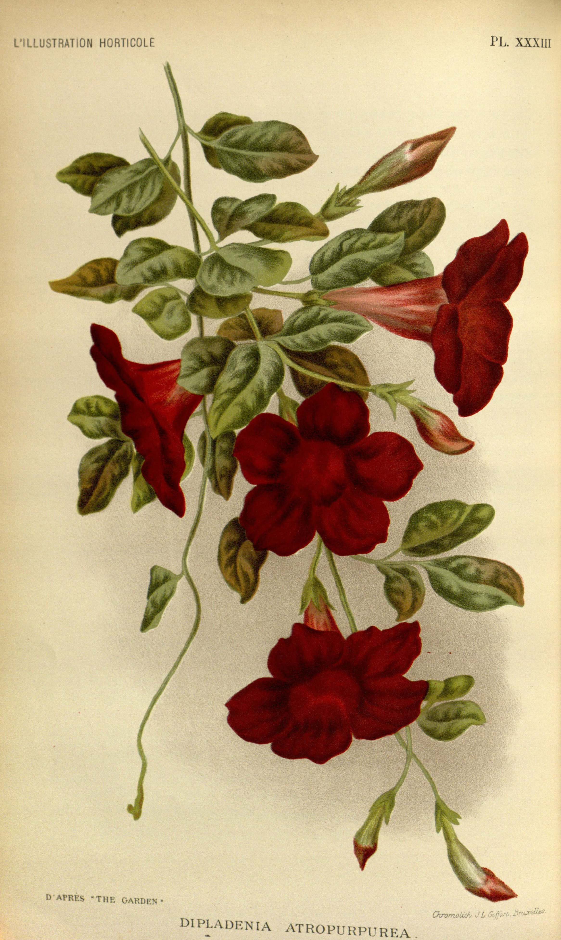 no full size  illustration available (3a)