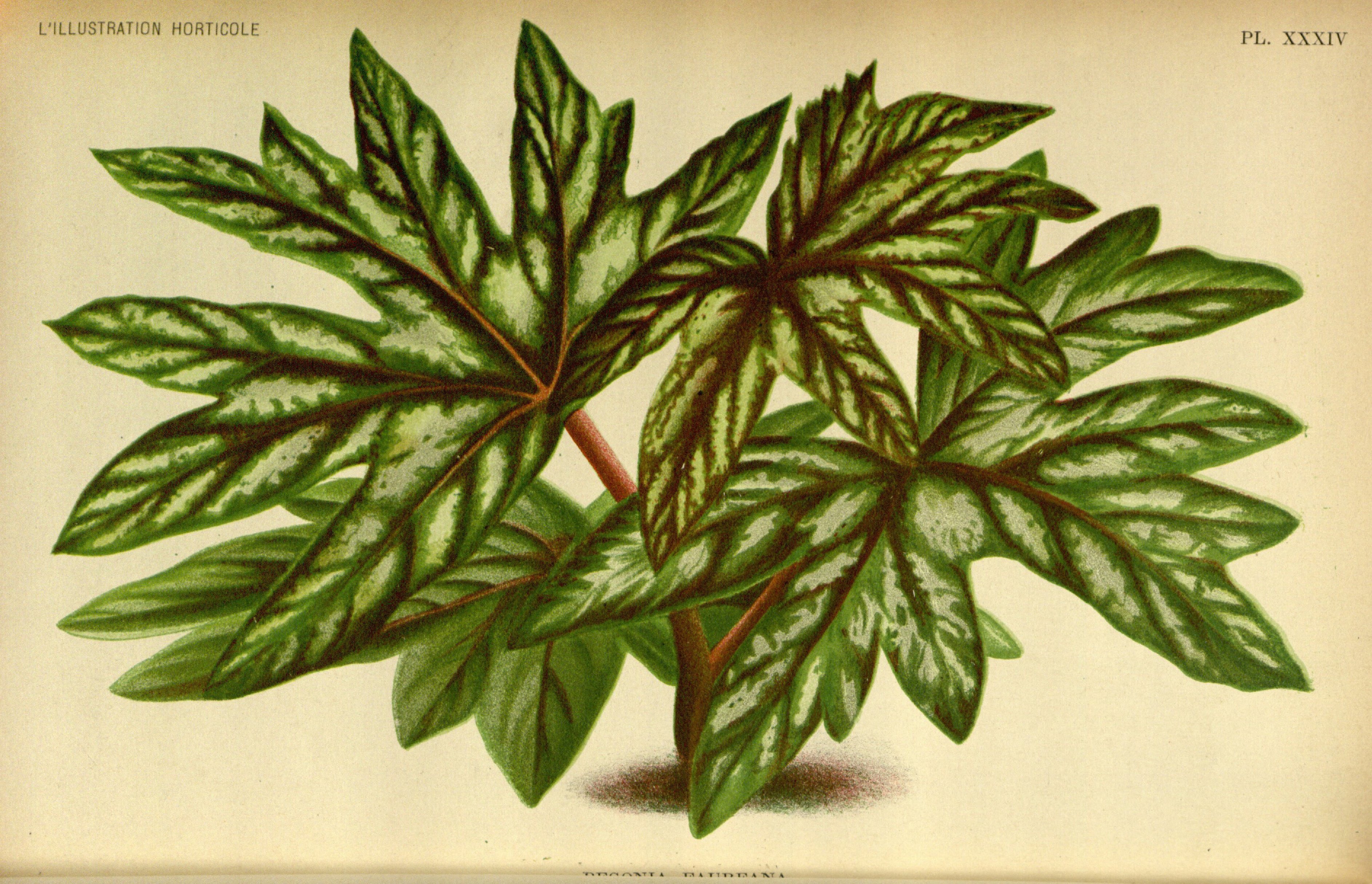 no full size  illustration available (3a)