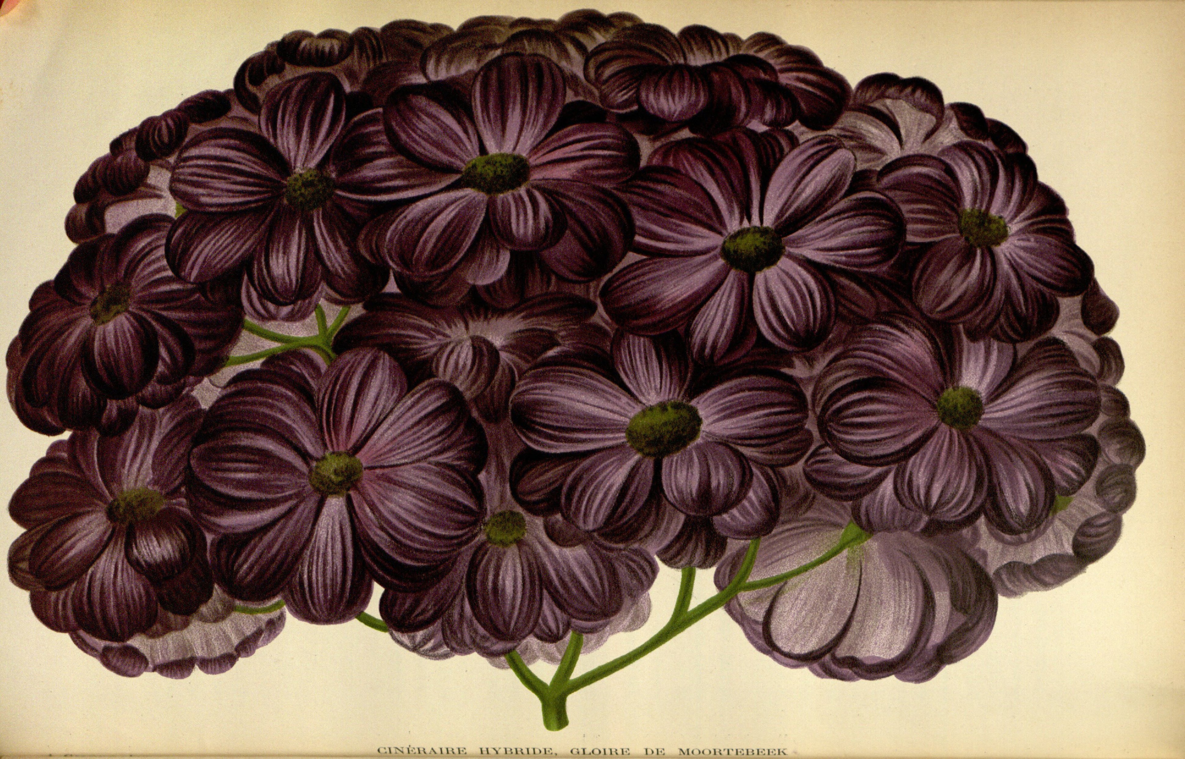 no full size  illustration available (3a)