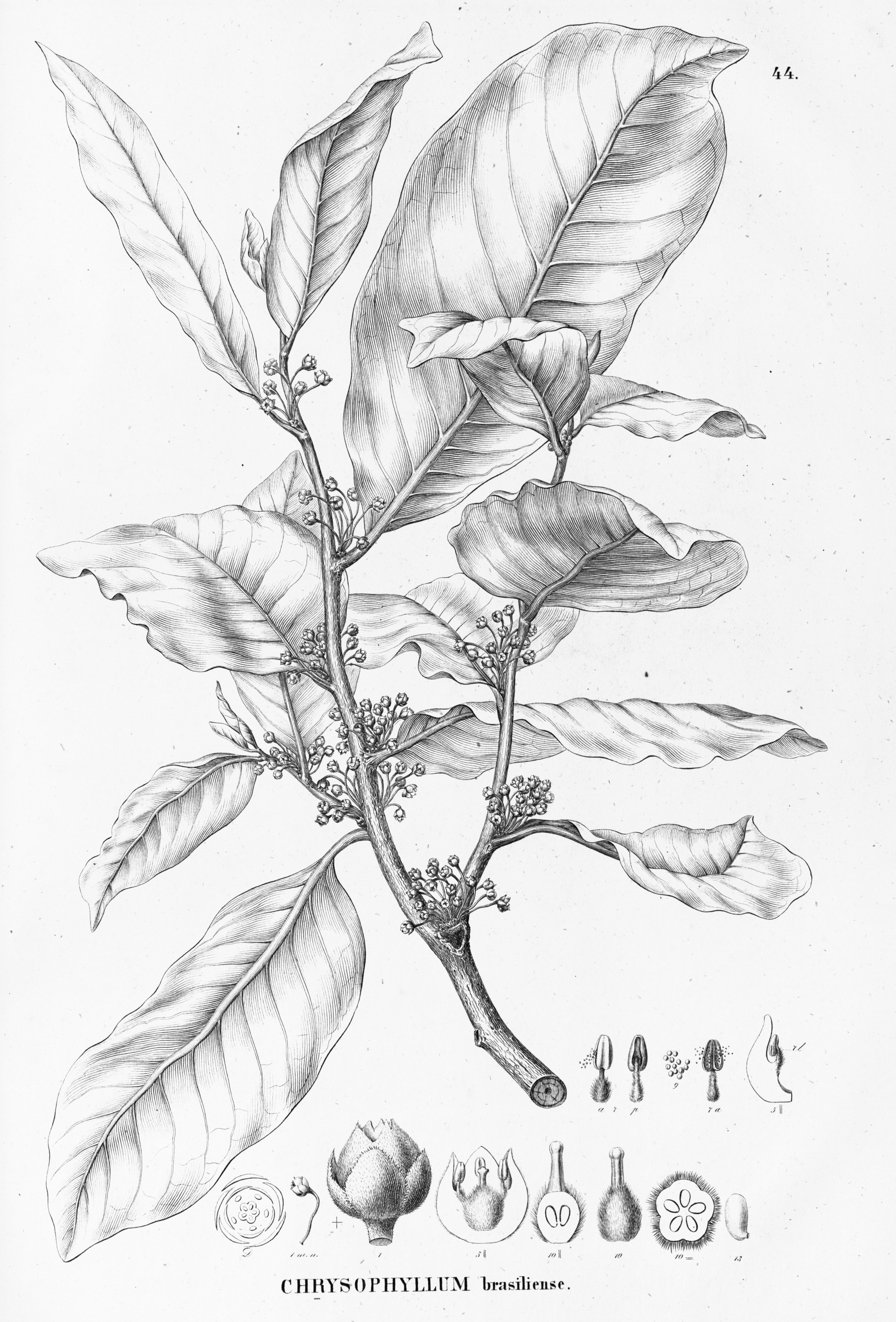 no full size  illustration available (3a)