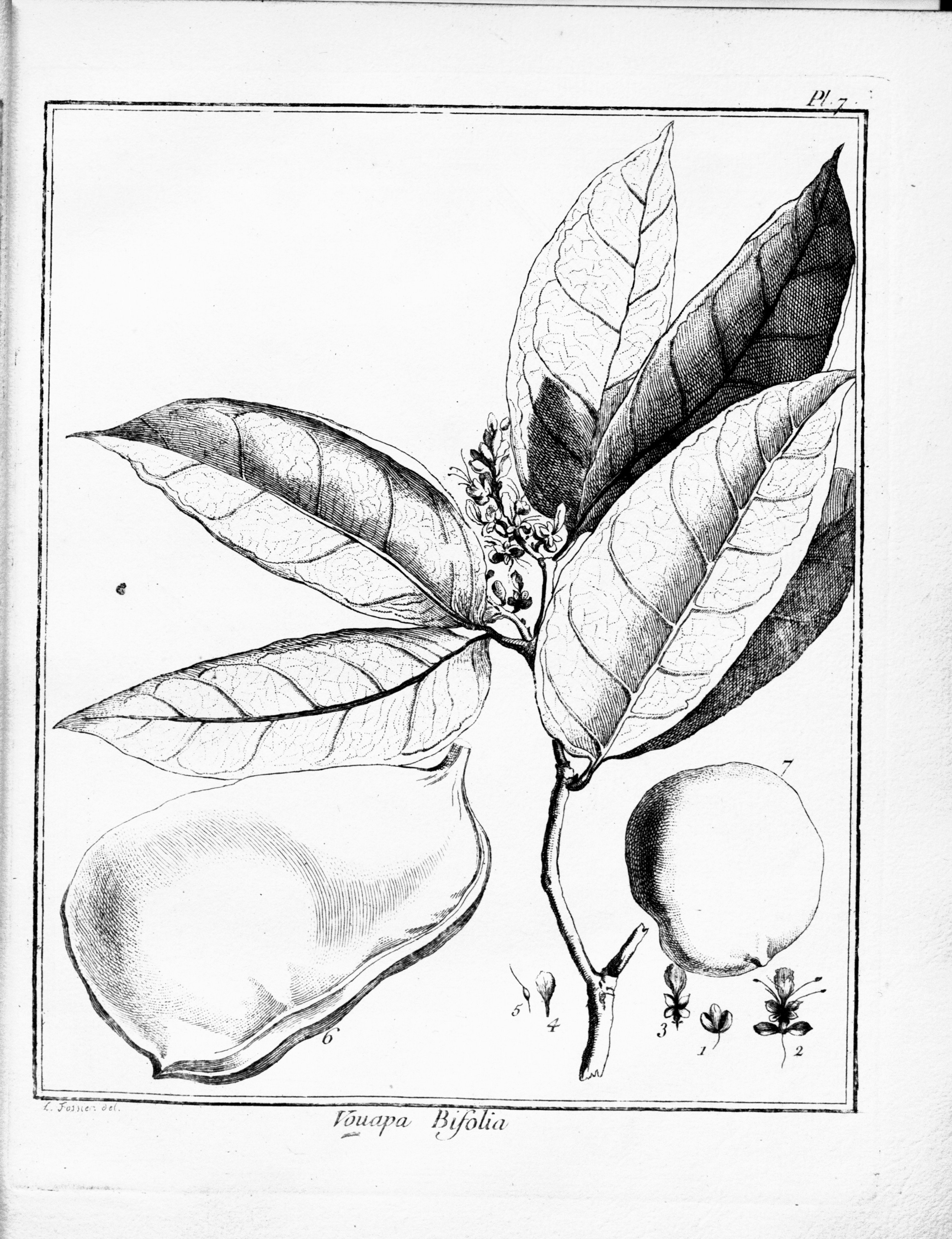 no full size  illustration available (3a)