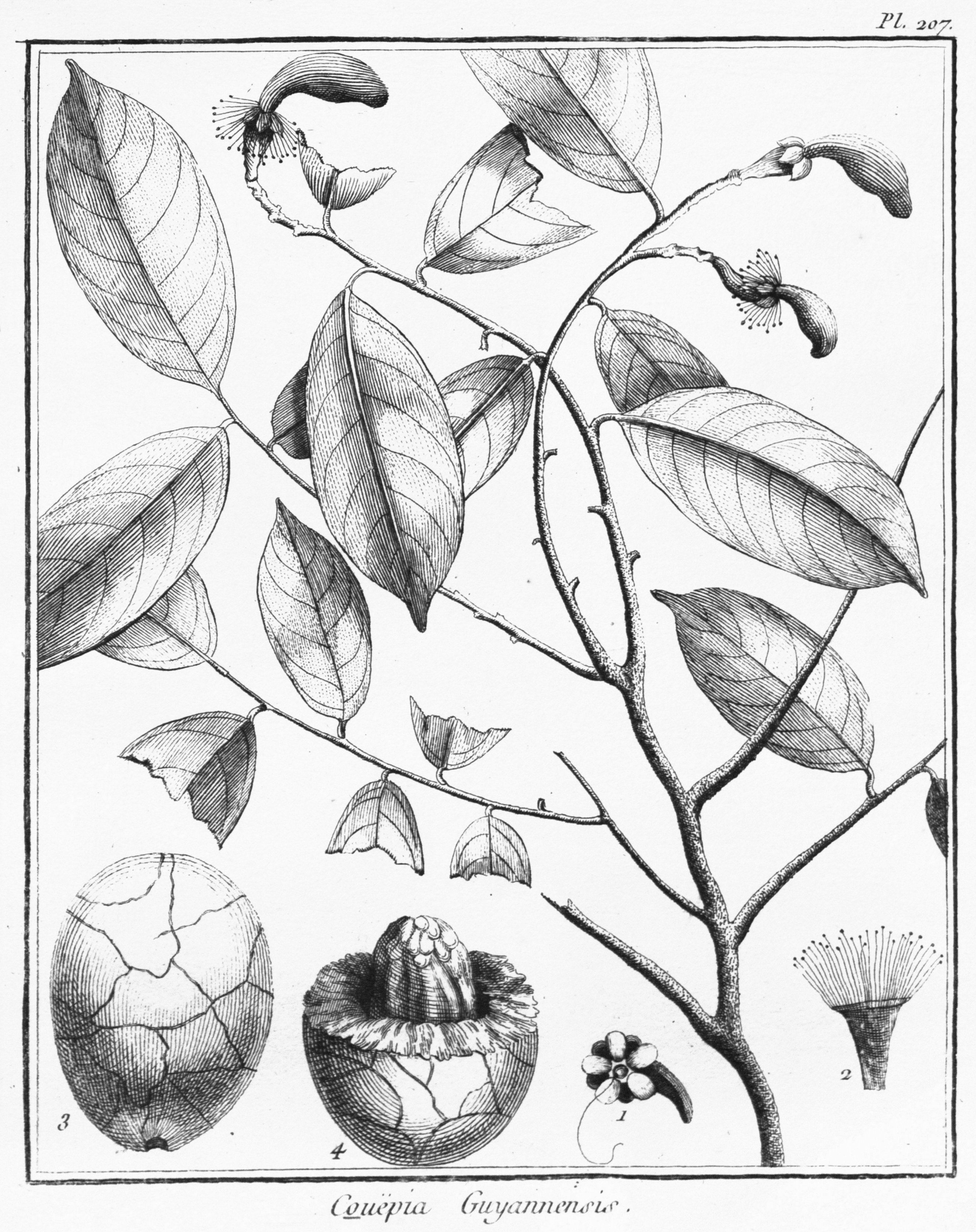 no full size  illustration available (3a)