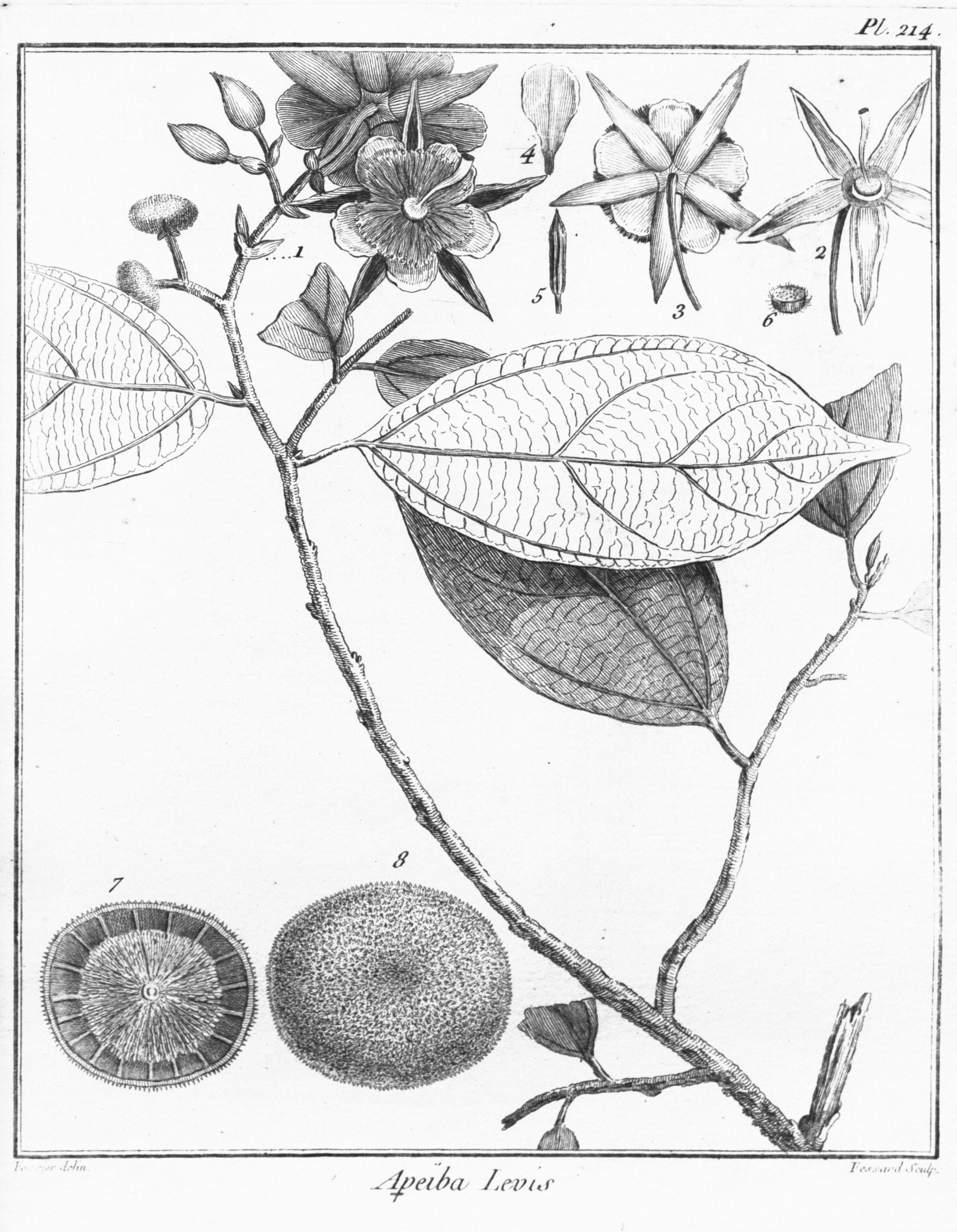 no full size  illustration available (3a)