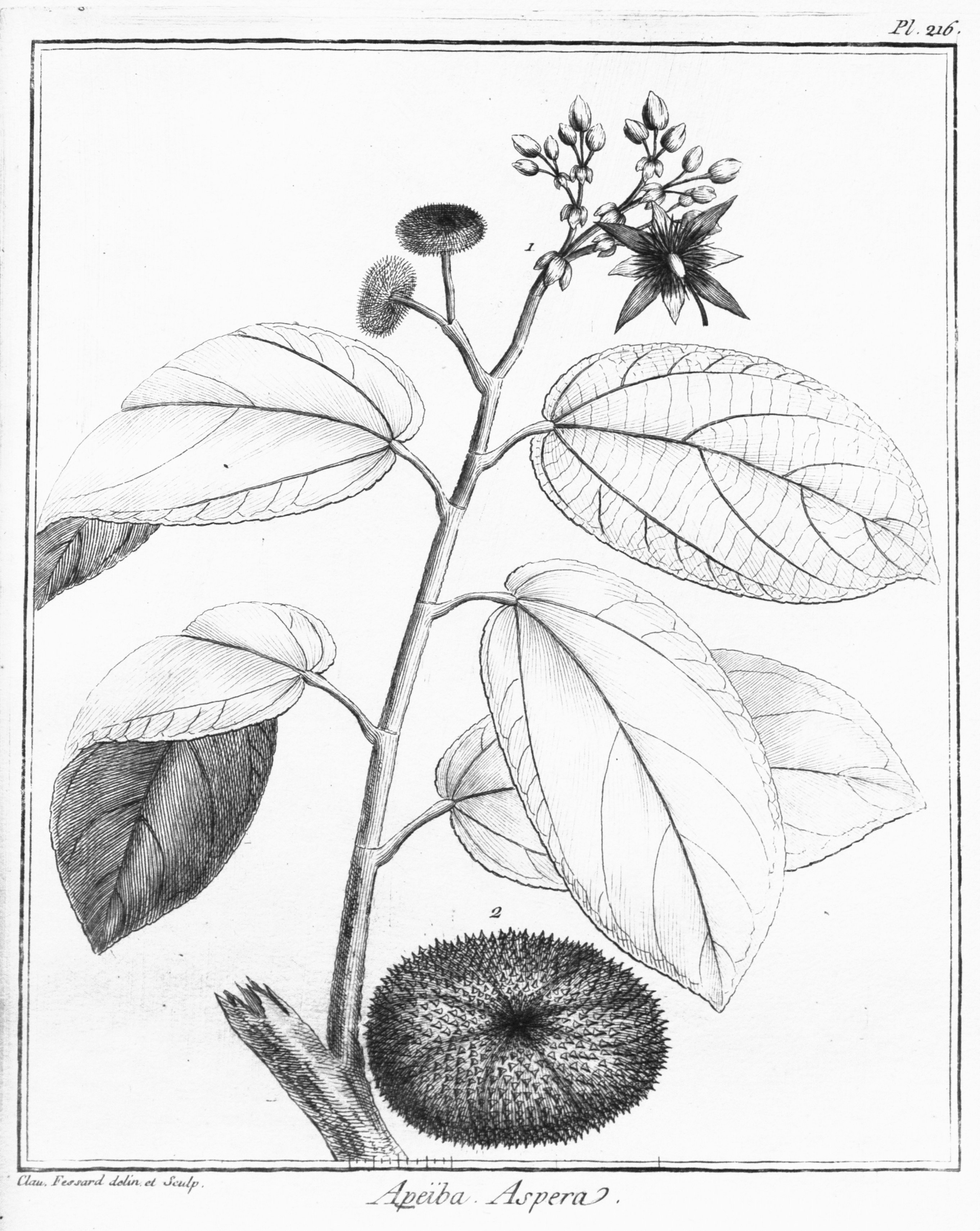 no full size  illustration available (3a)