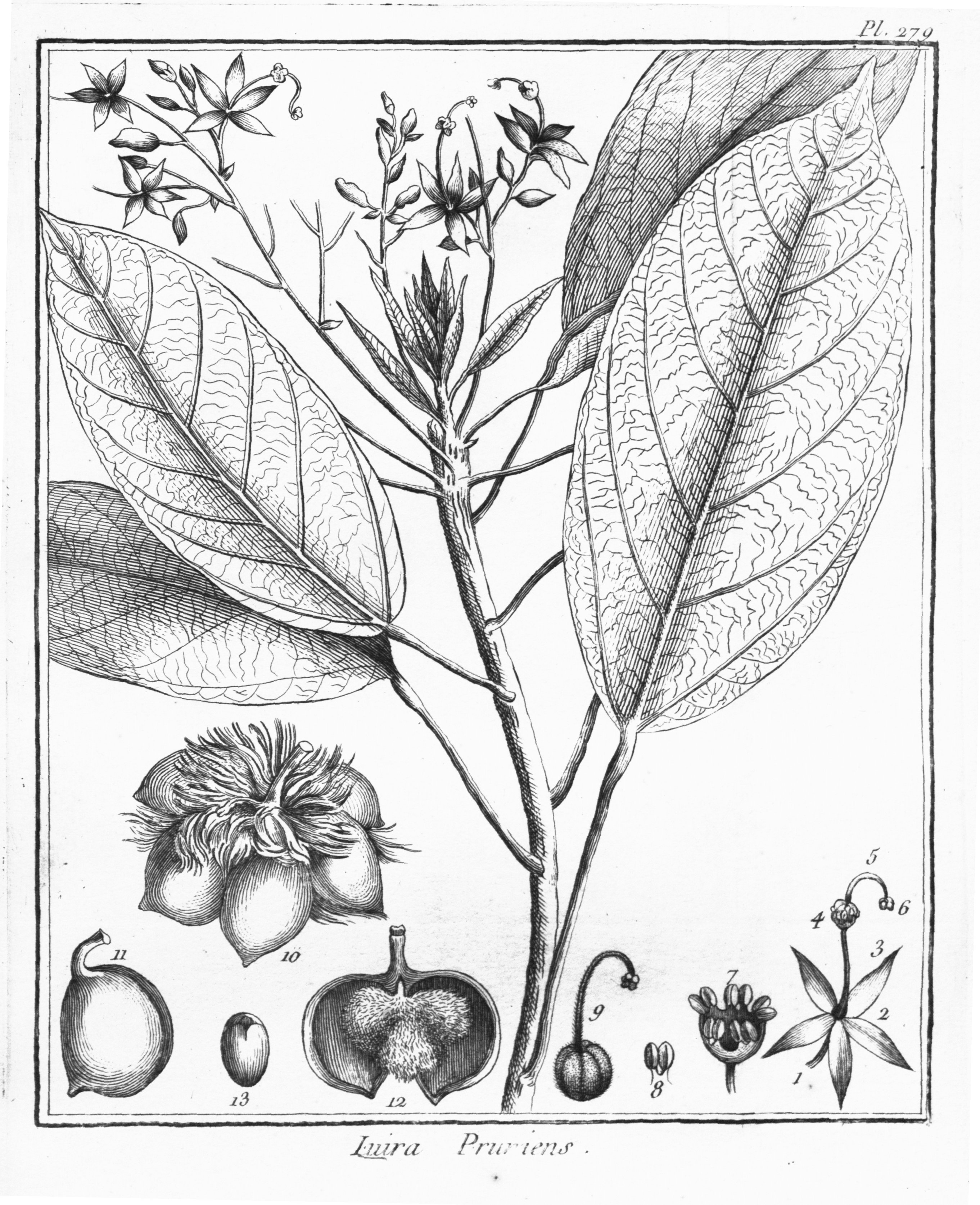 no full size  illustration available (3a)