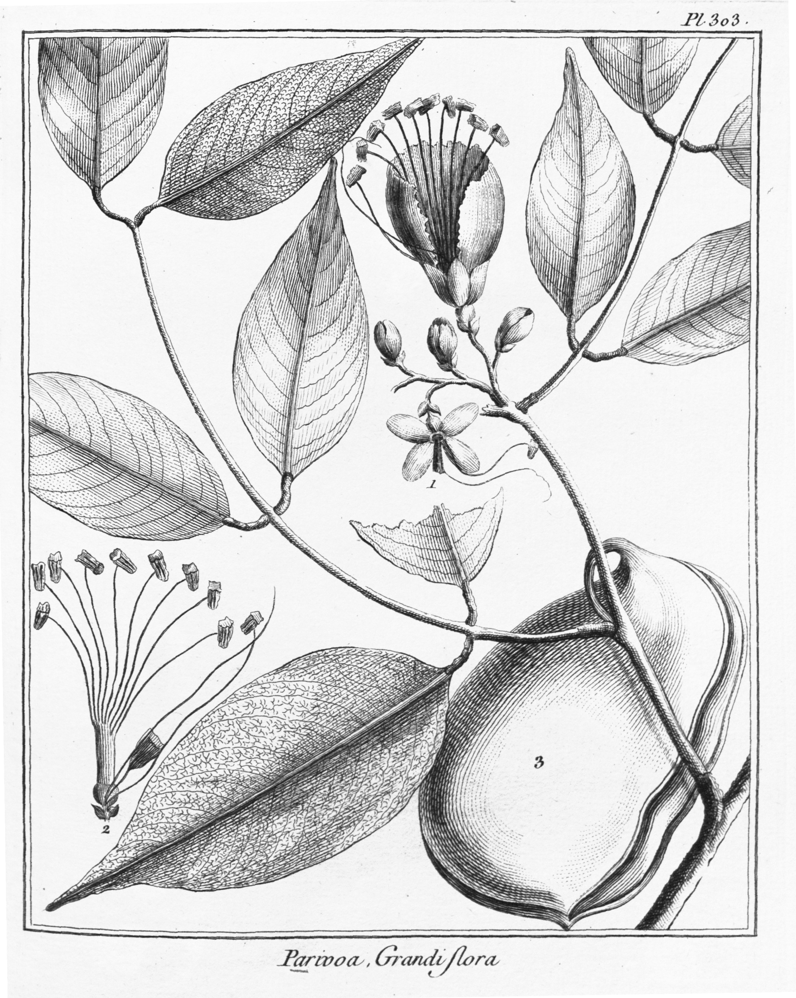 no full size  illustration available (3a)