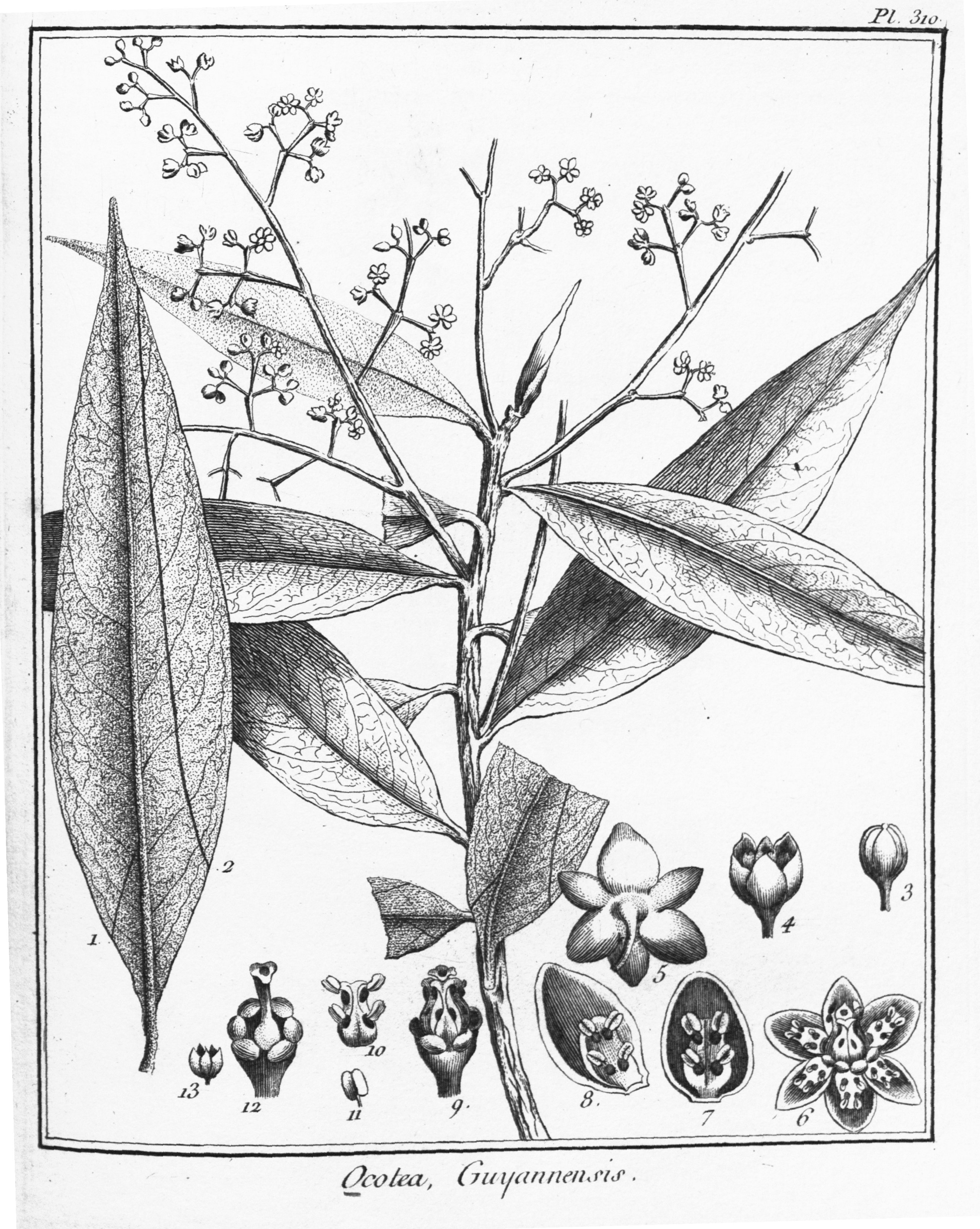 no full size  illustration available (3a)