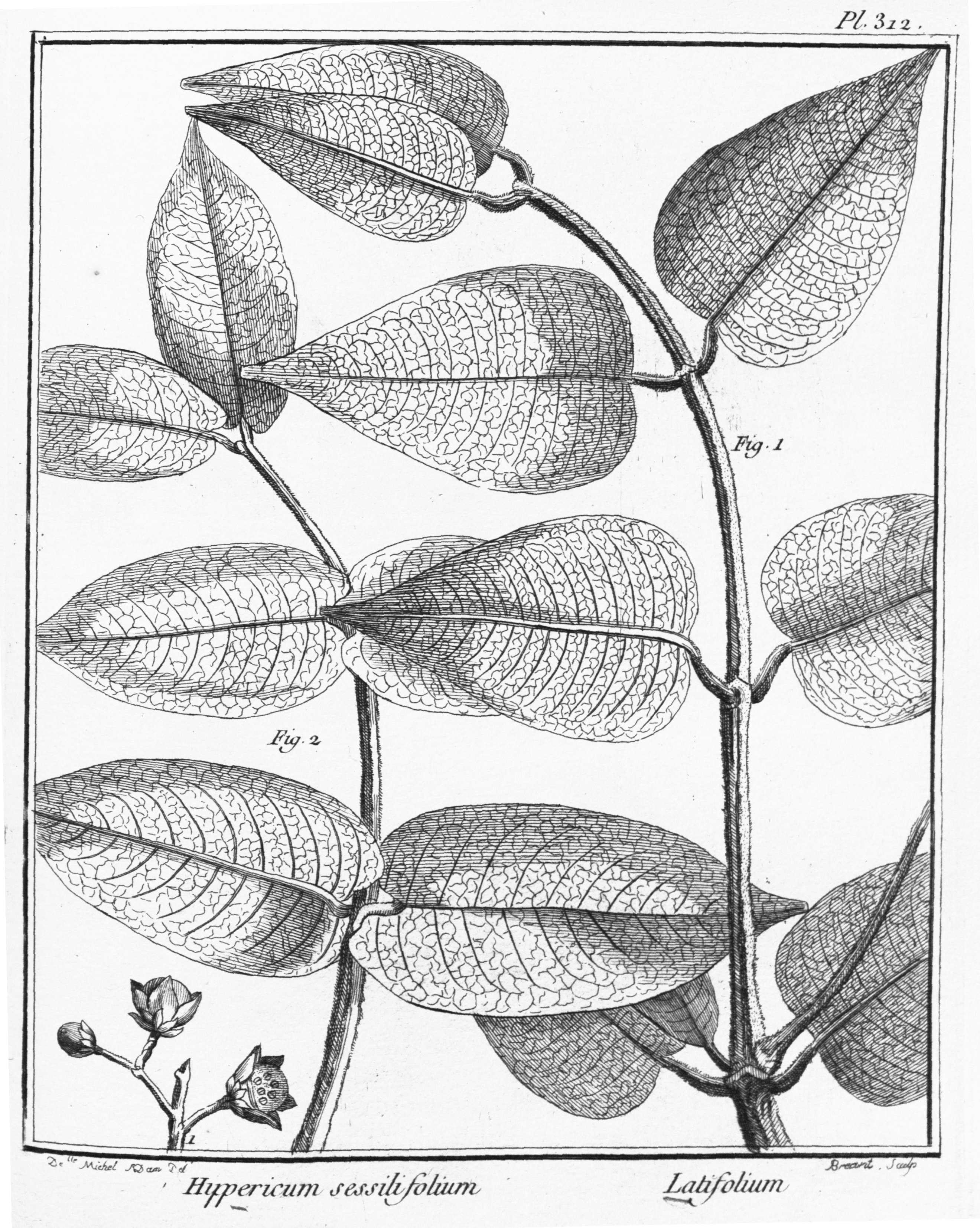 no full size  illustration available (3a)