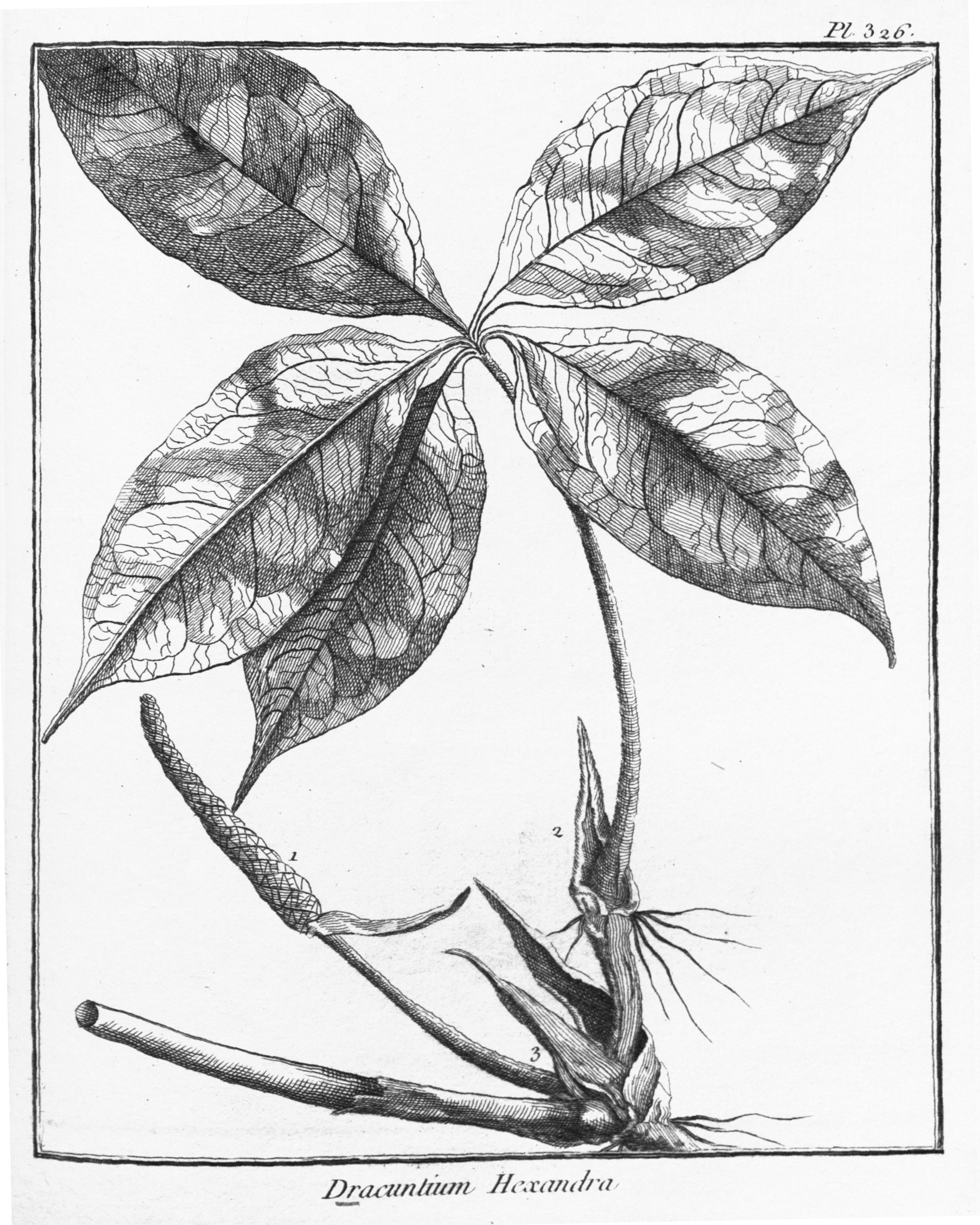 no full size  illustration available (3a)