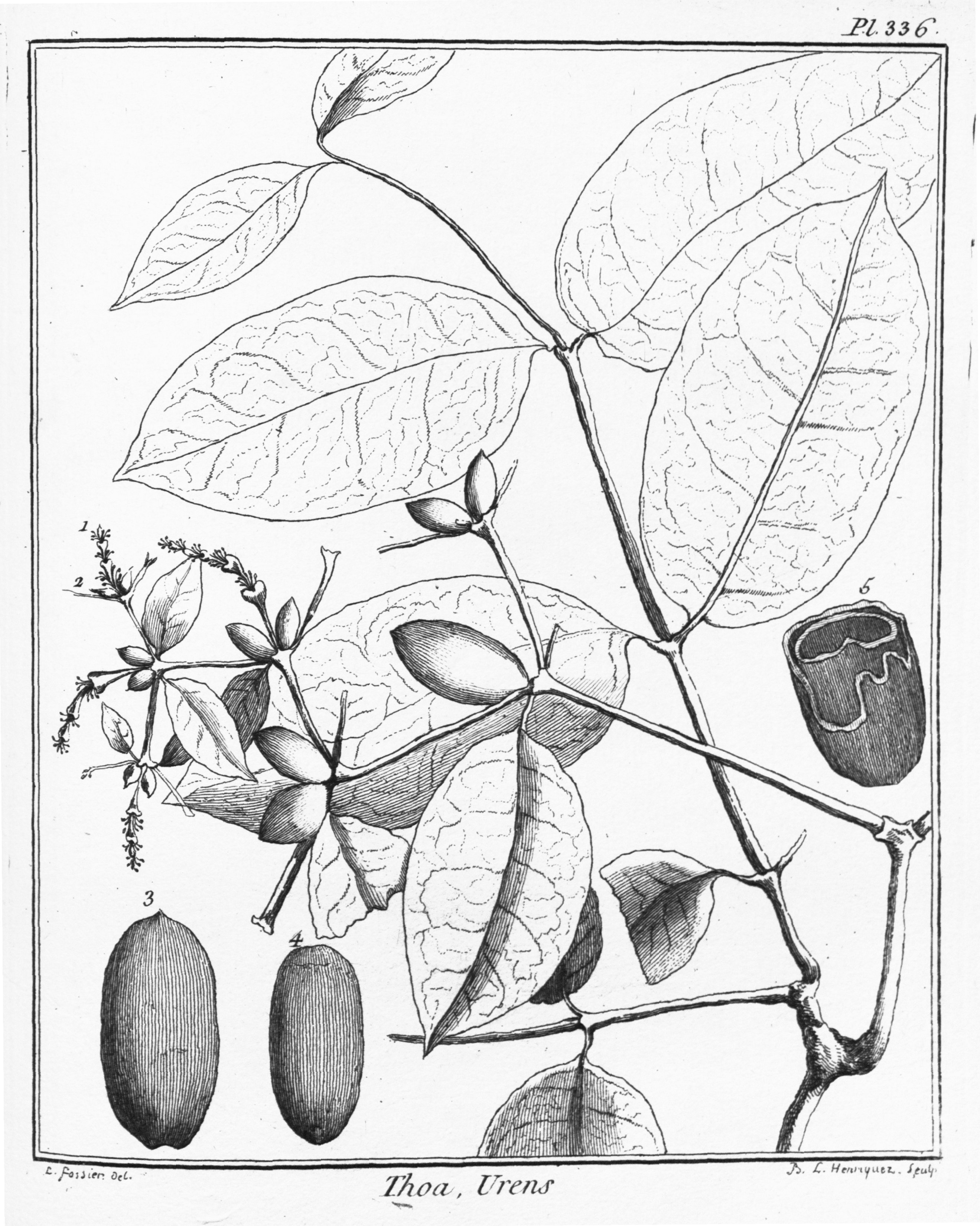 no full size  illustration available (3a)