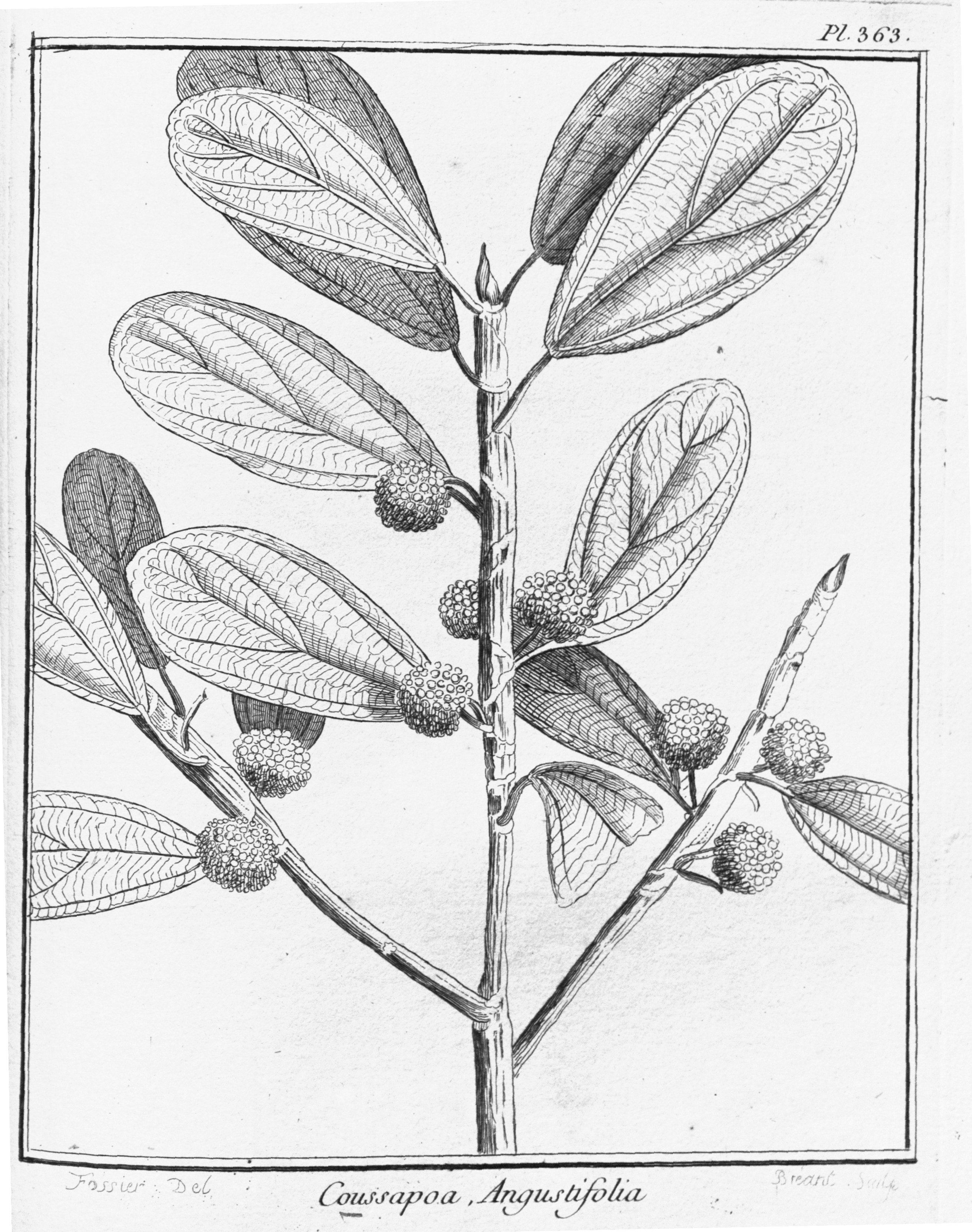 no full size  illustration available (3a)