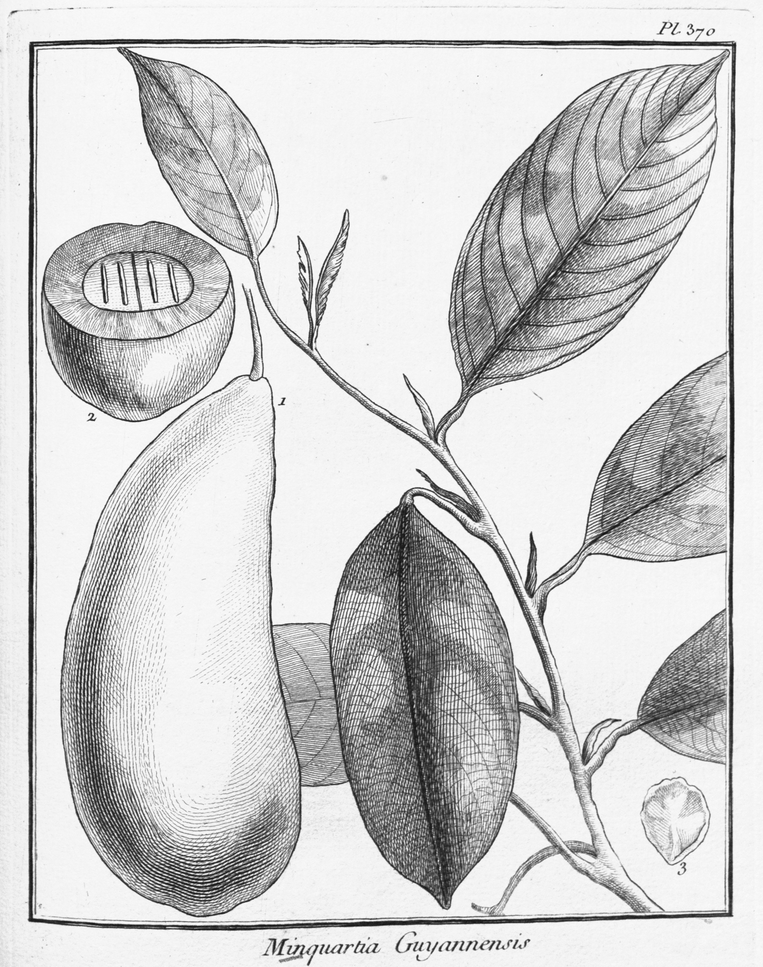 no full size  illustration available (3a)