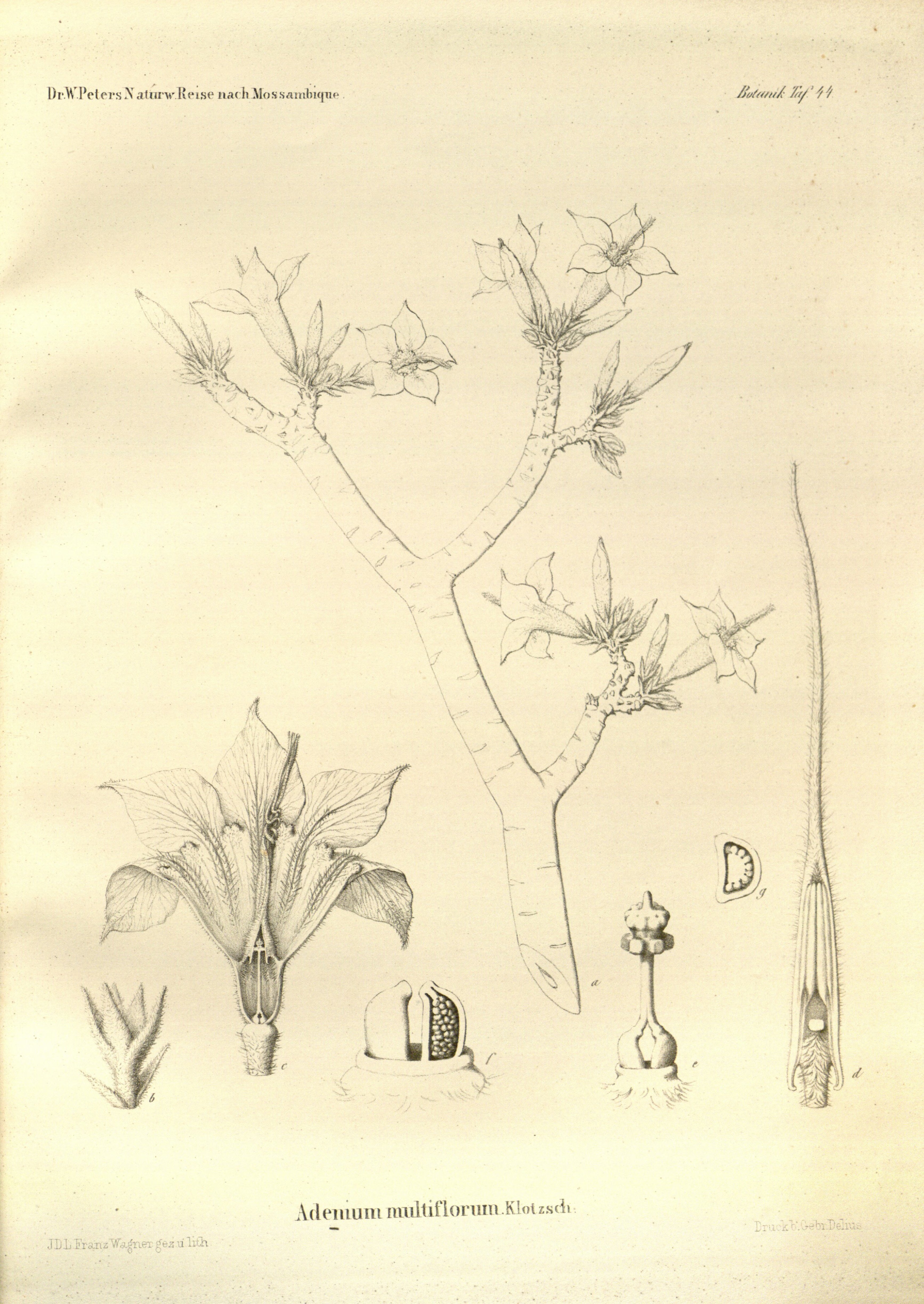 no full size  illustration available (3a)