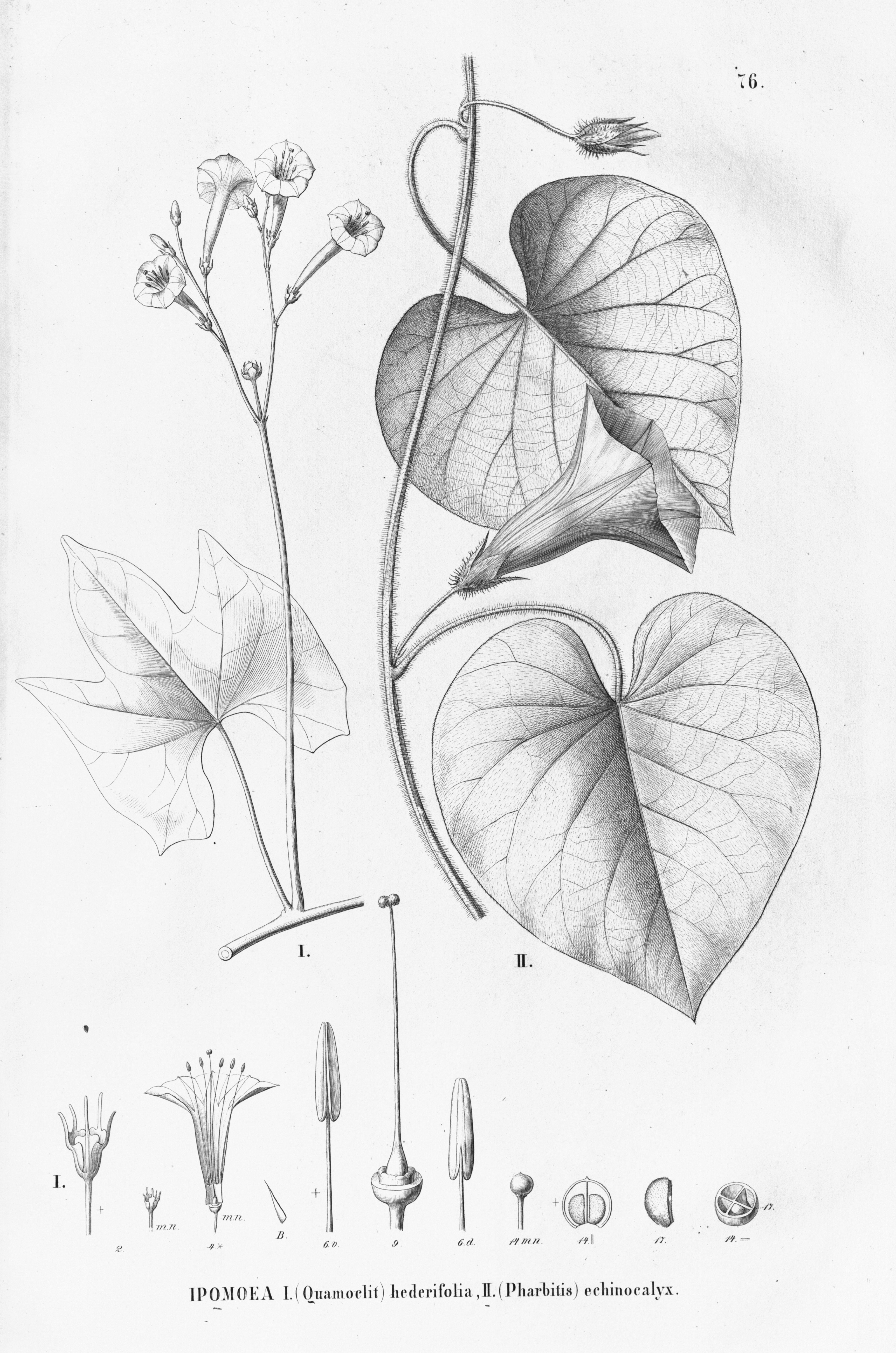 no full size  illustration available (3a)