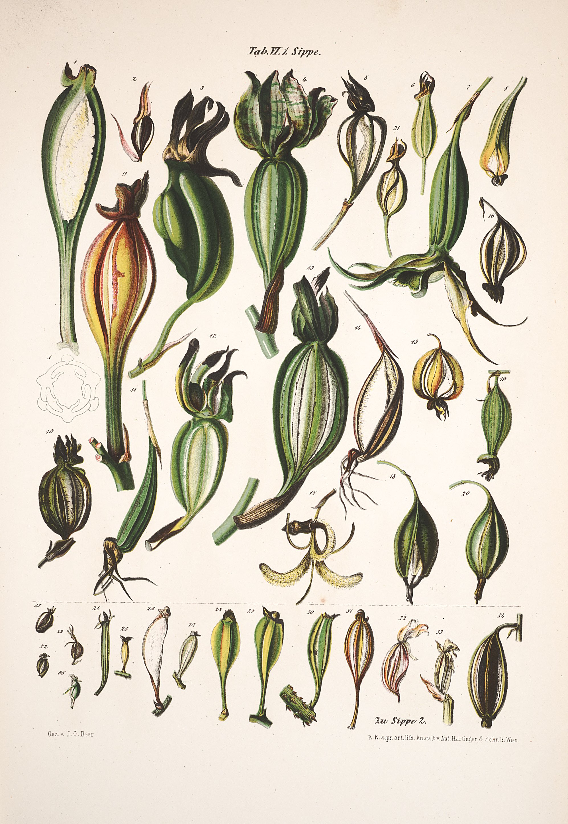 no full size  illustration available (3a)