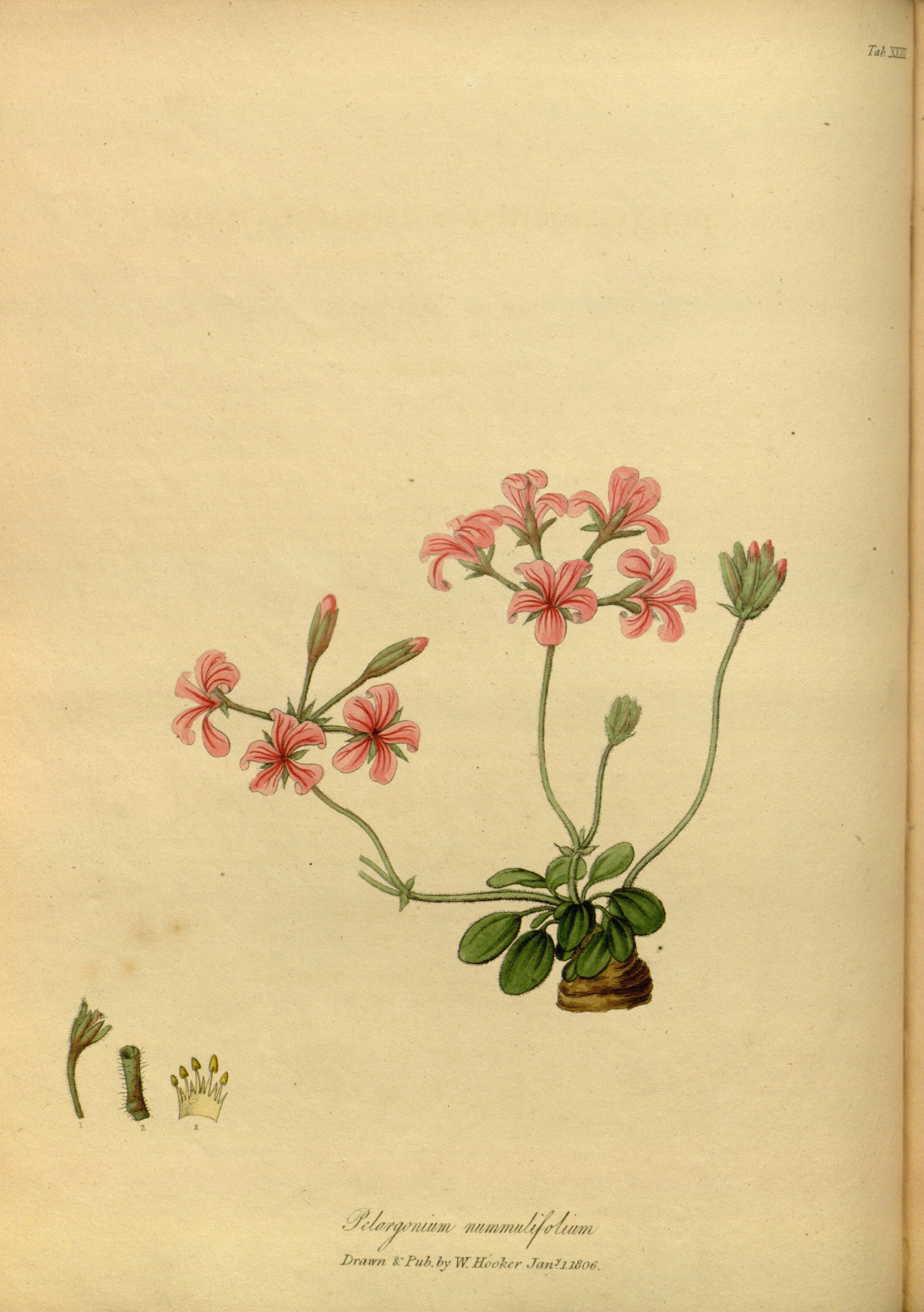 no full size  illustration available (3a)