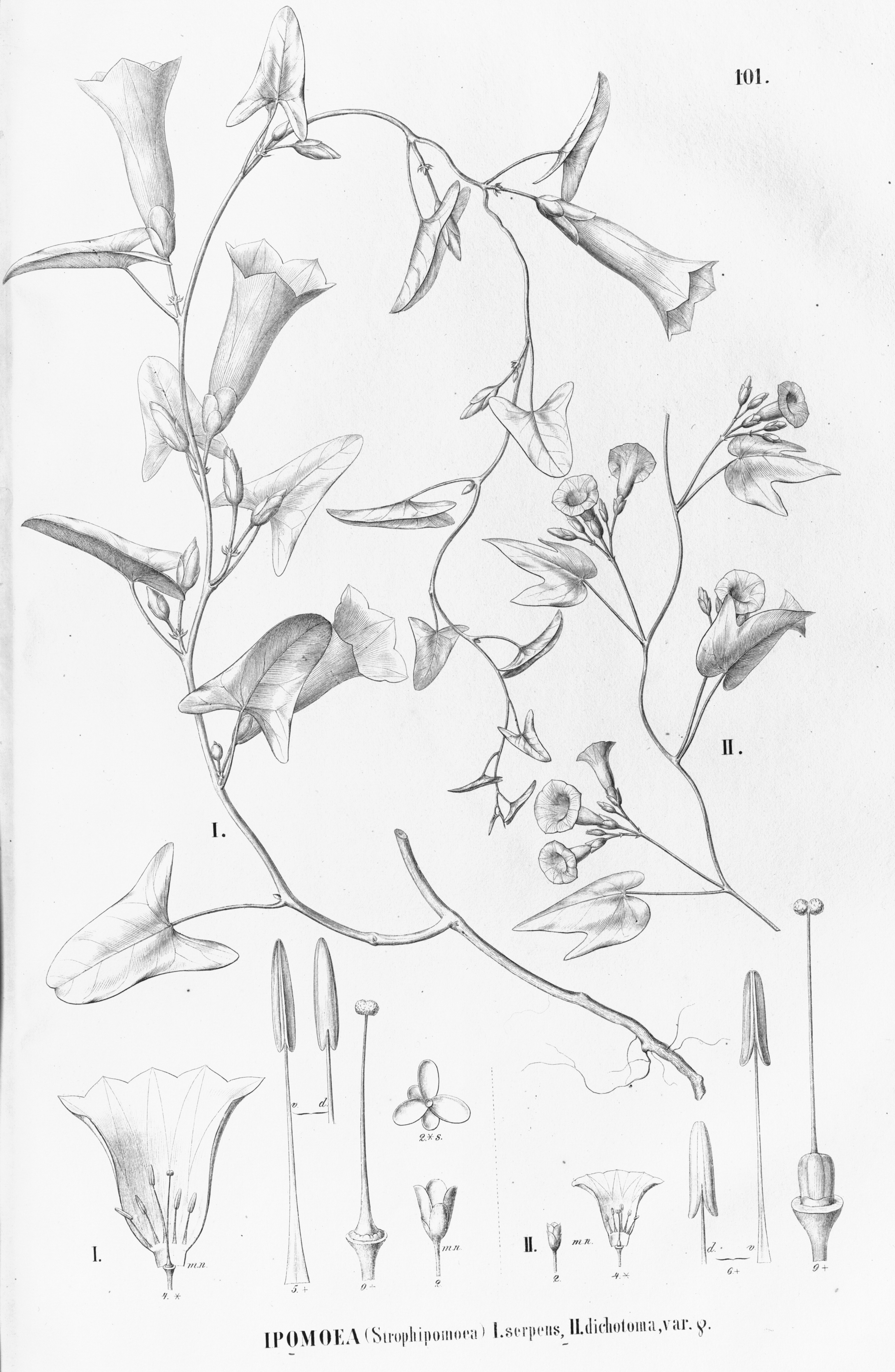 no full size  illustration available (3a)