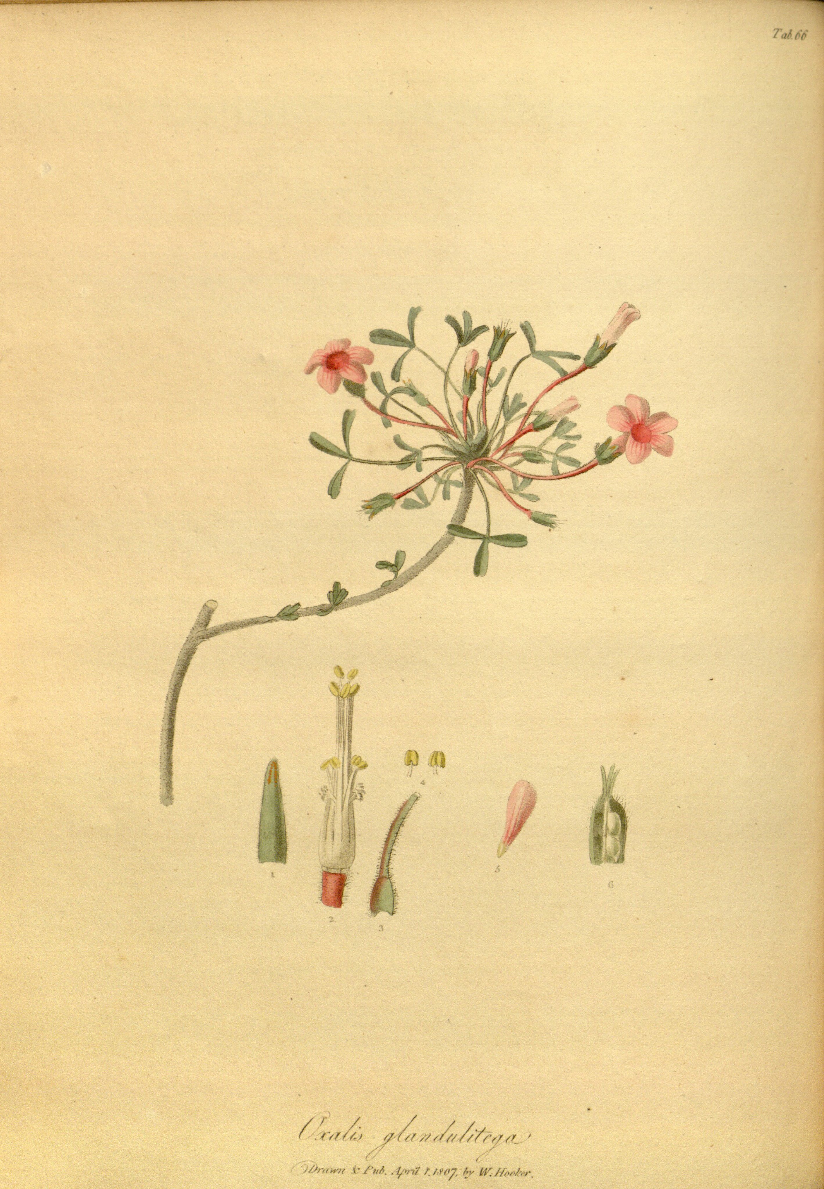 no full size  illustration available (3a)