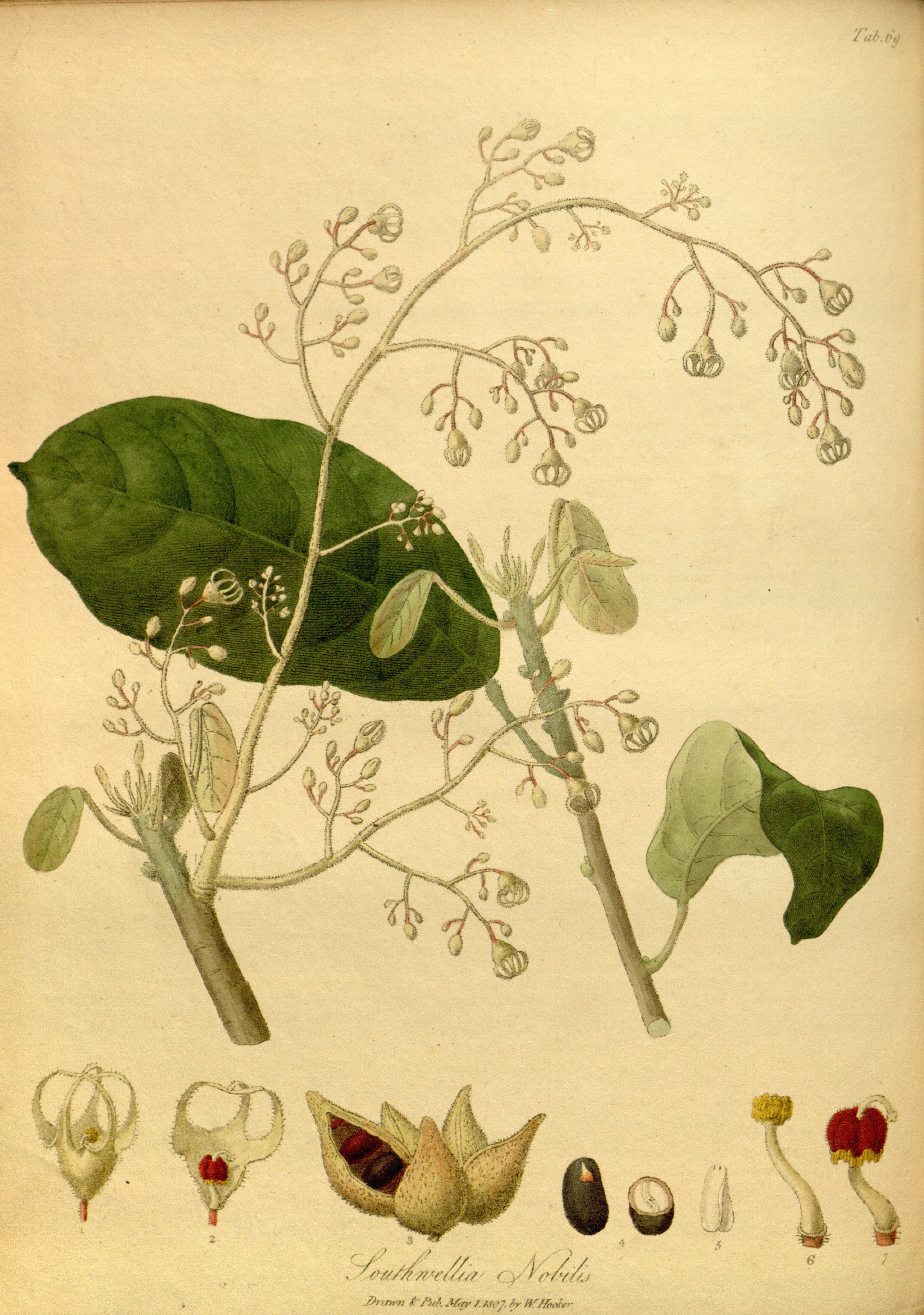 no full size  illustration available (3a)