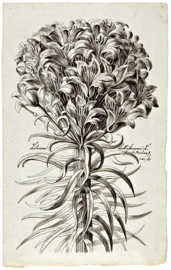 no full size  illustration available (3a)