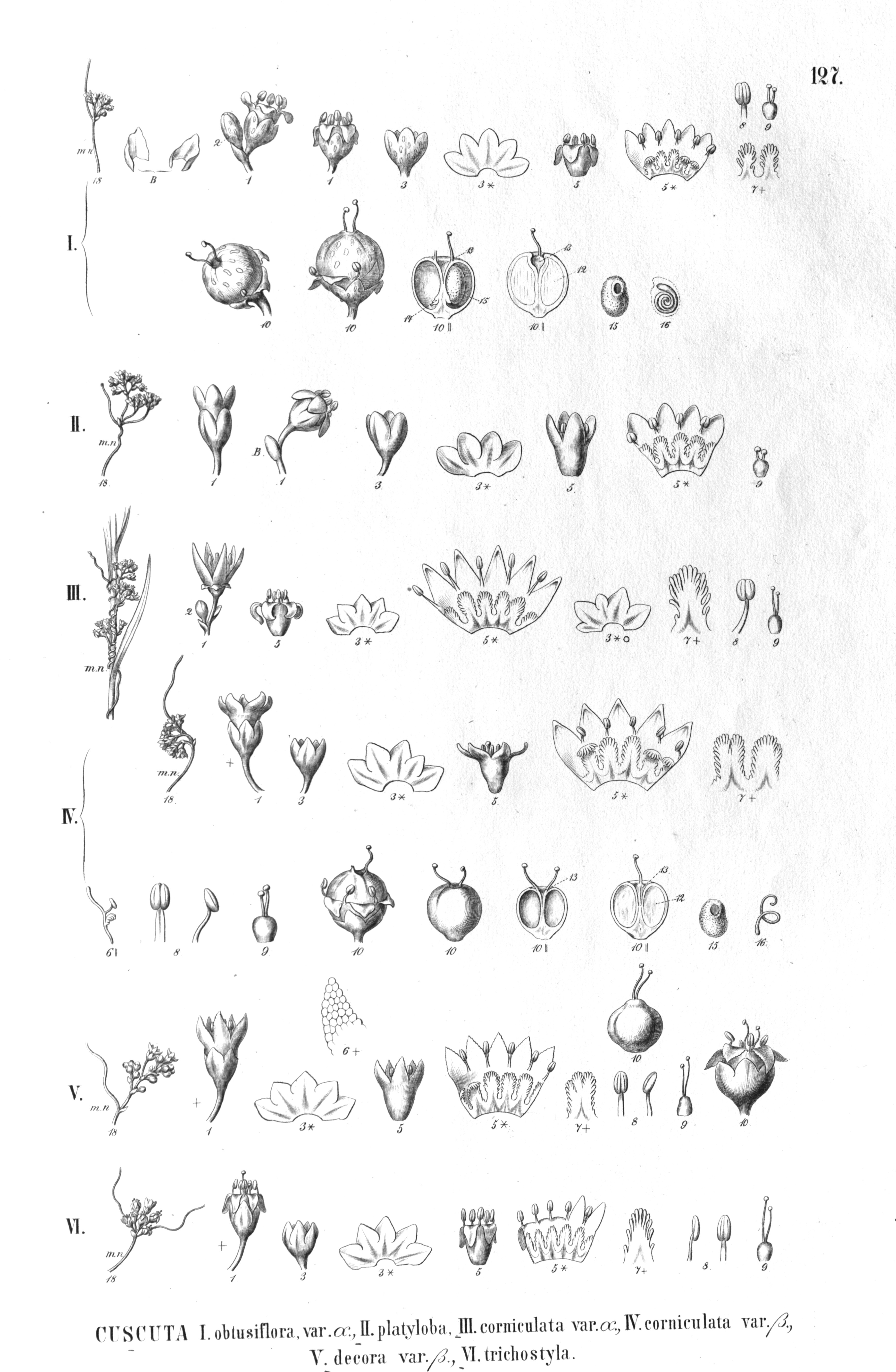 no full size  illustration available (3a)