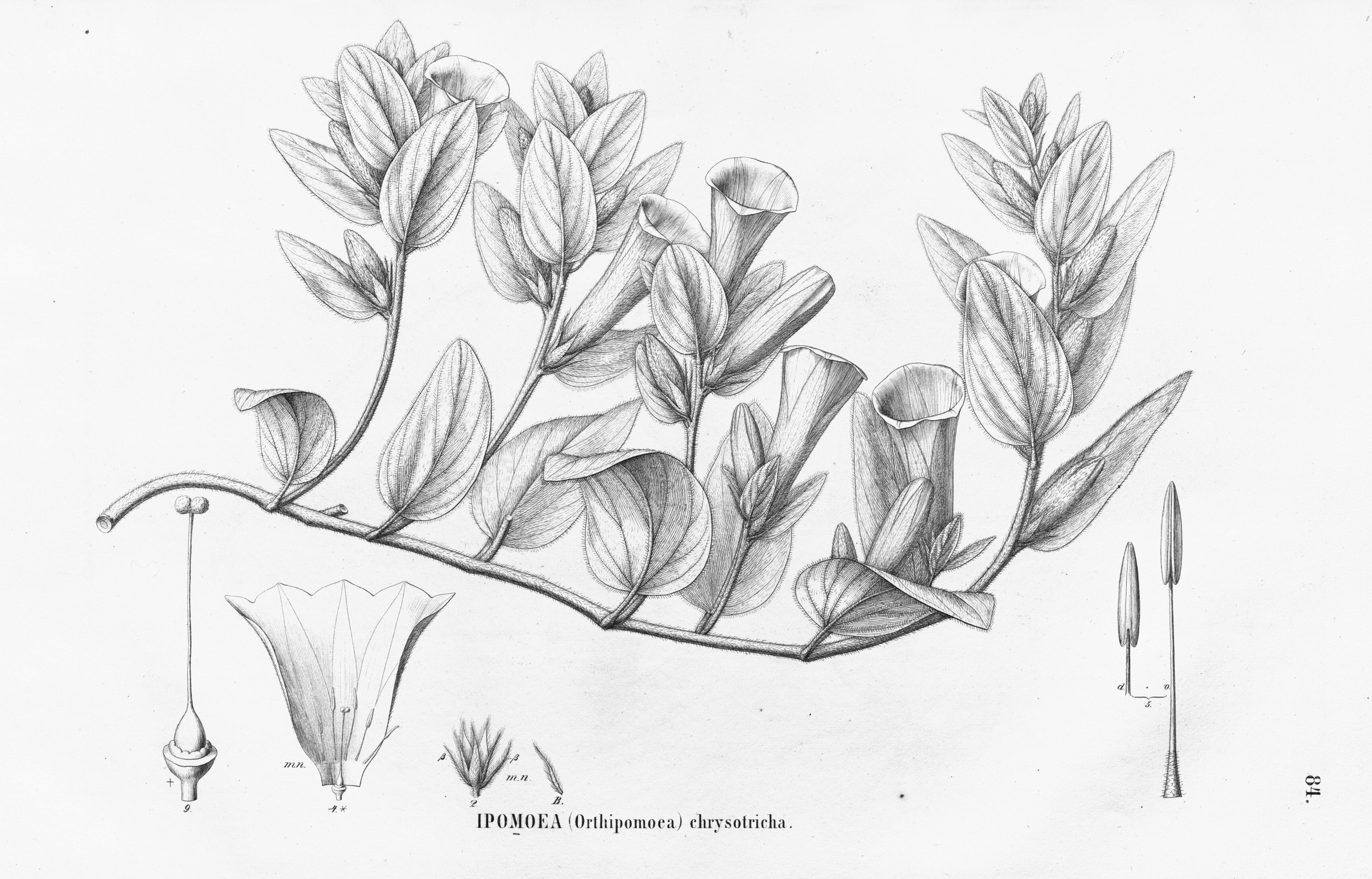 no full size  illustration available (3a)