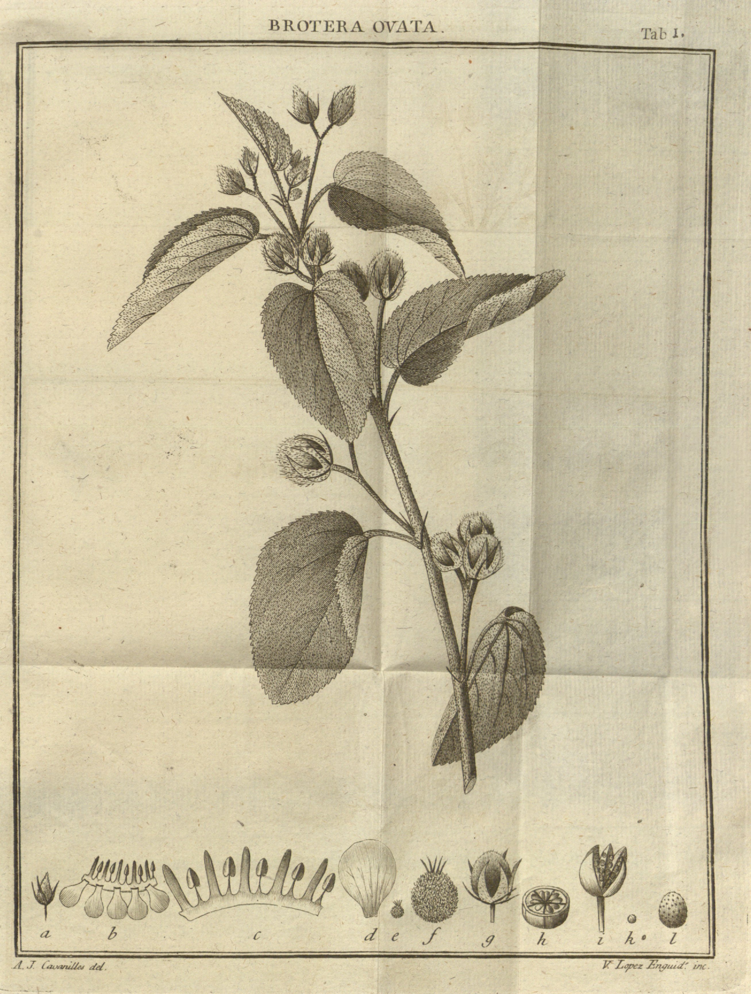 no full size  illustration available (3a)