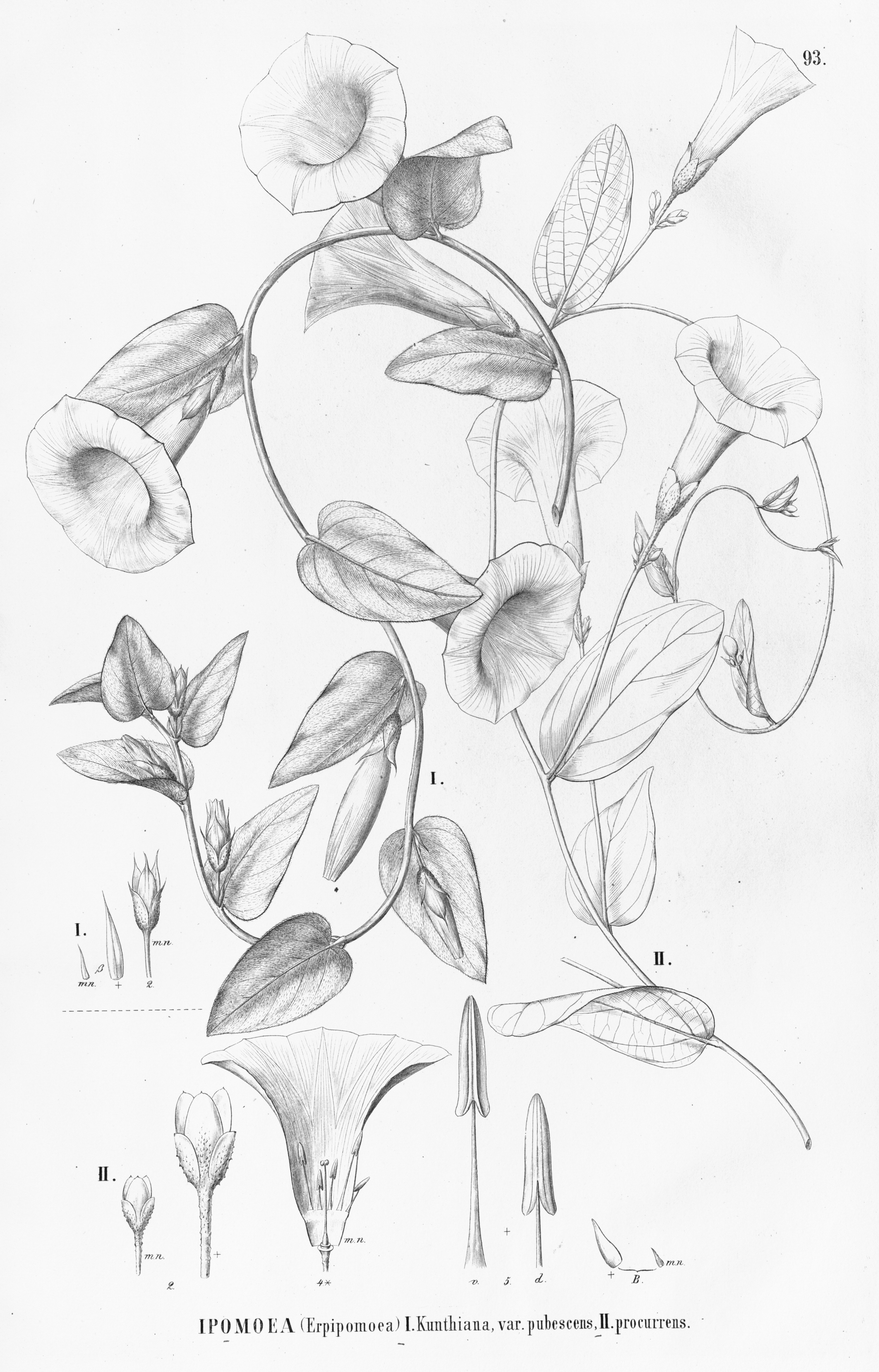 no full size  illustration available (3a)