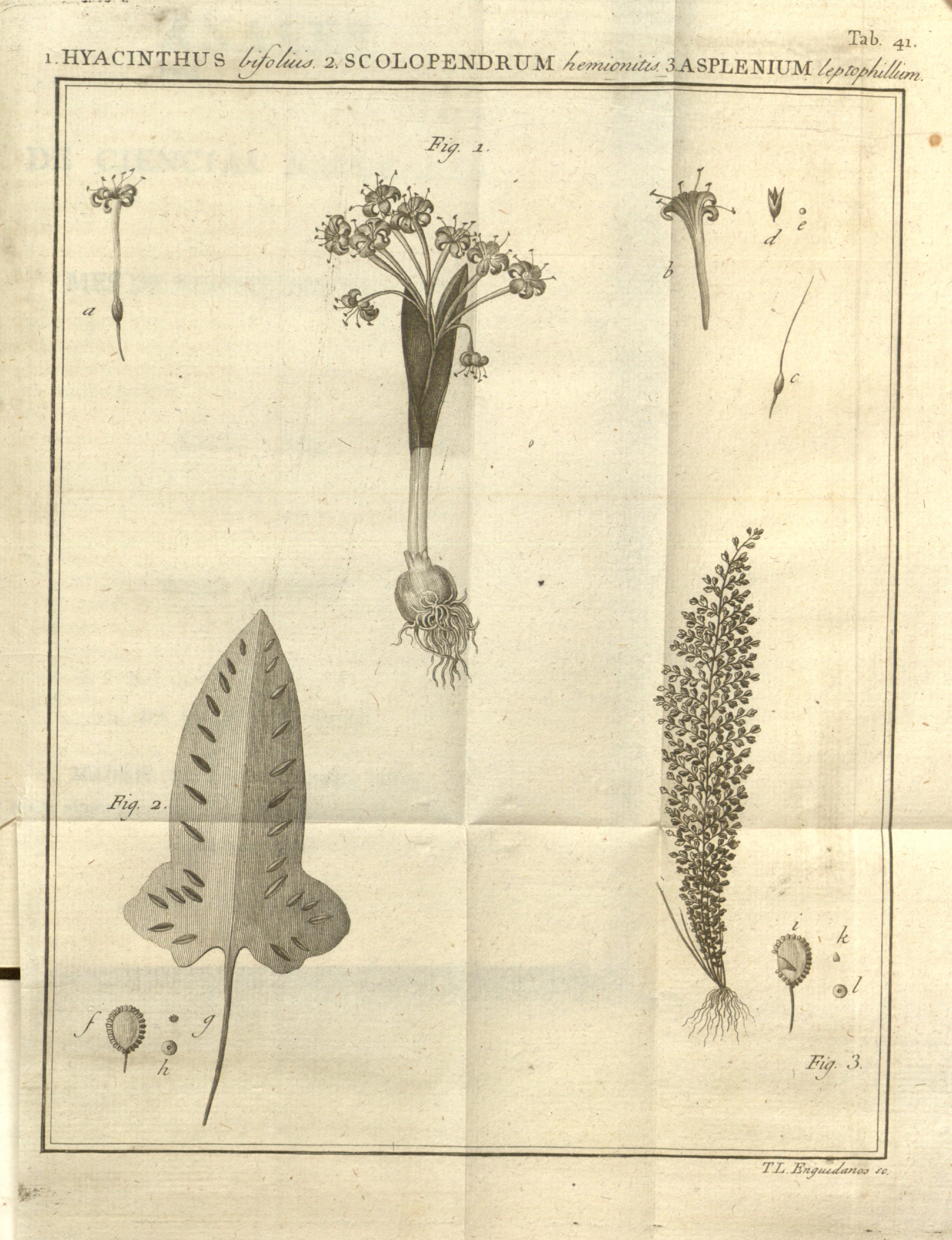 no full size  illustration available (3a)