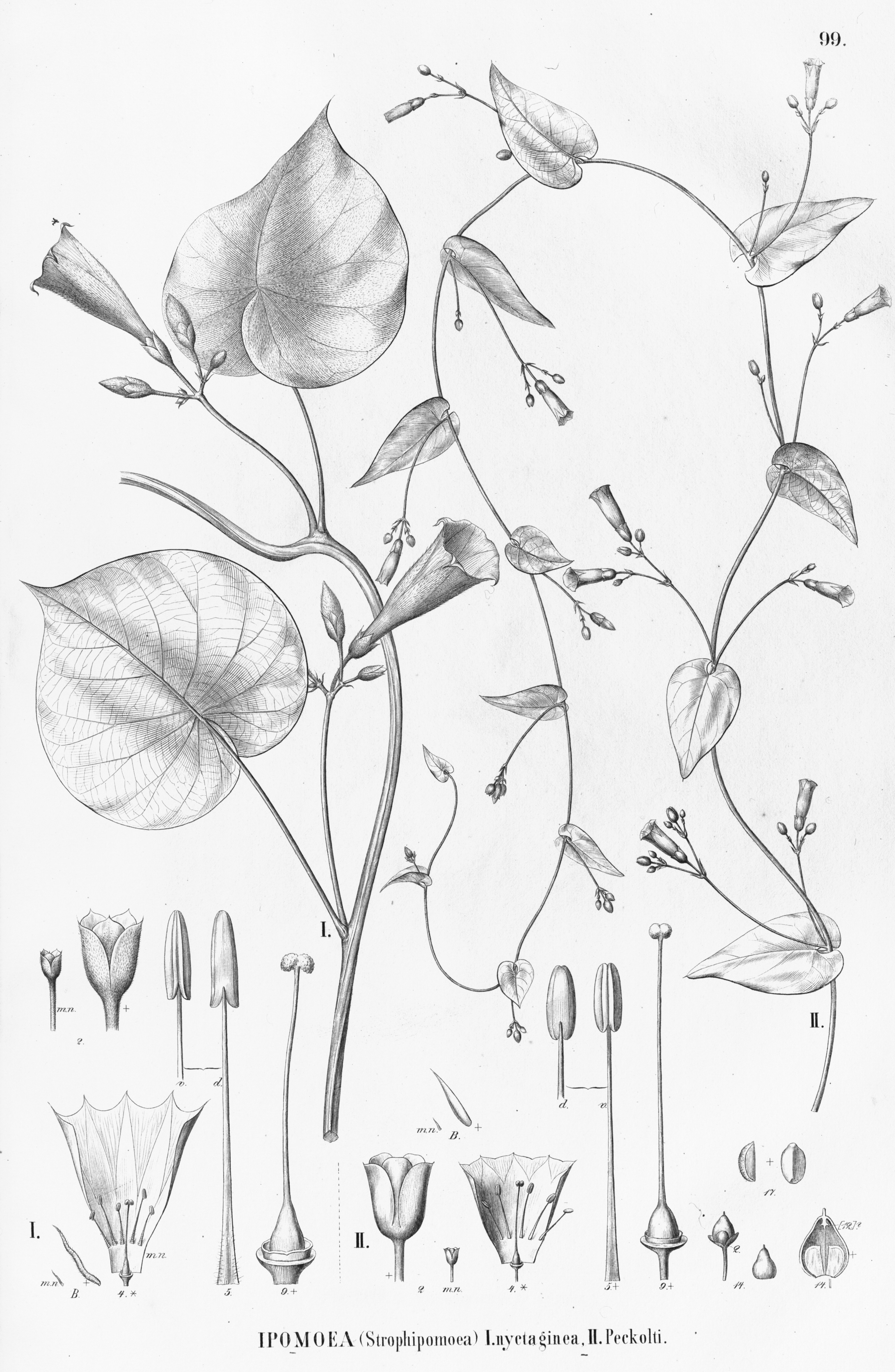 no full size  illustration available (3a)