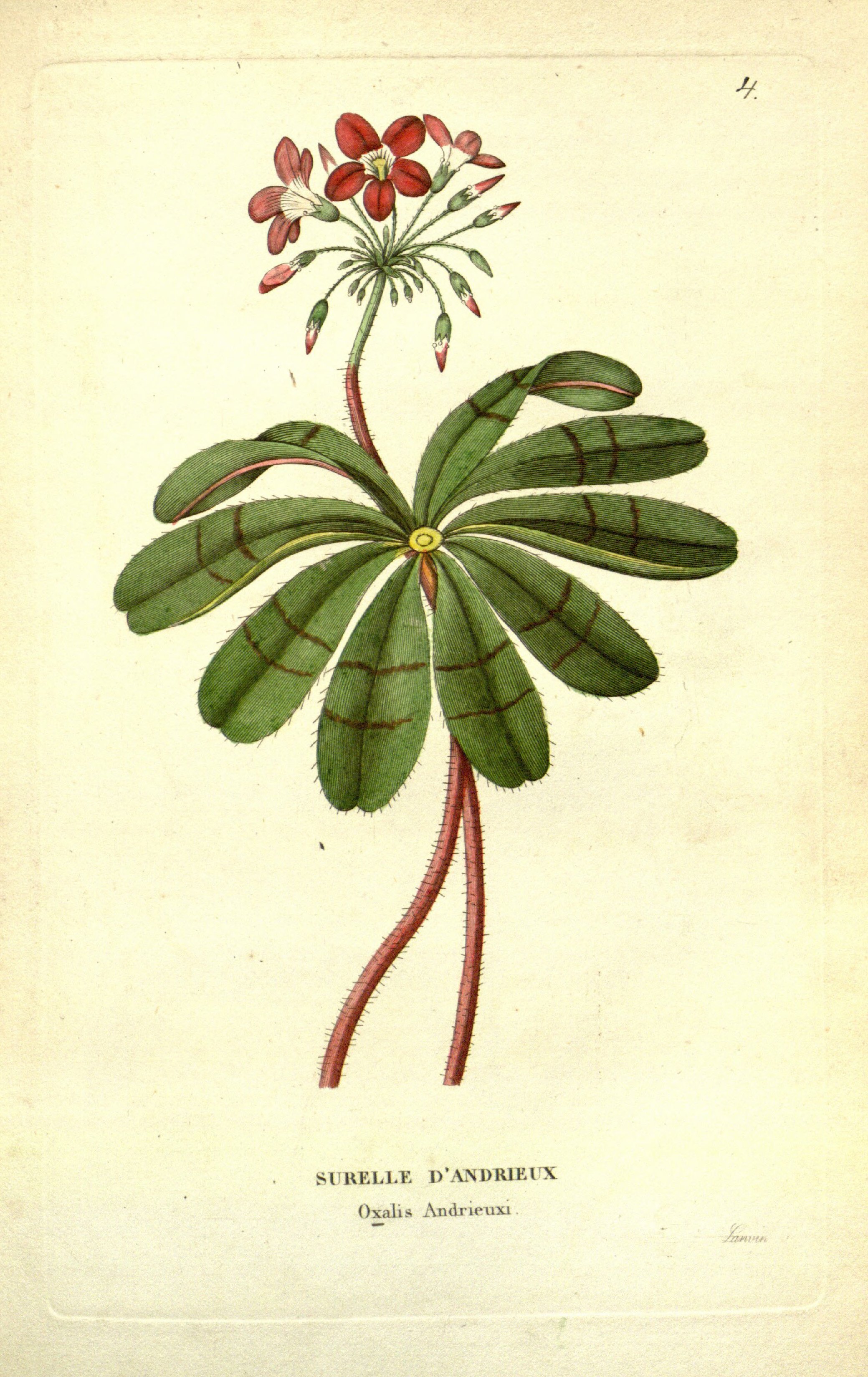 no full size  illustration available (3a)