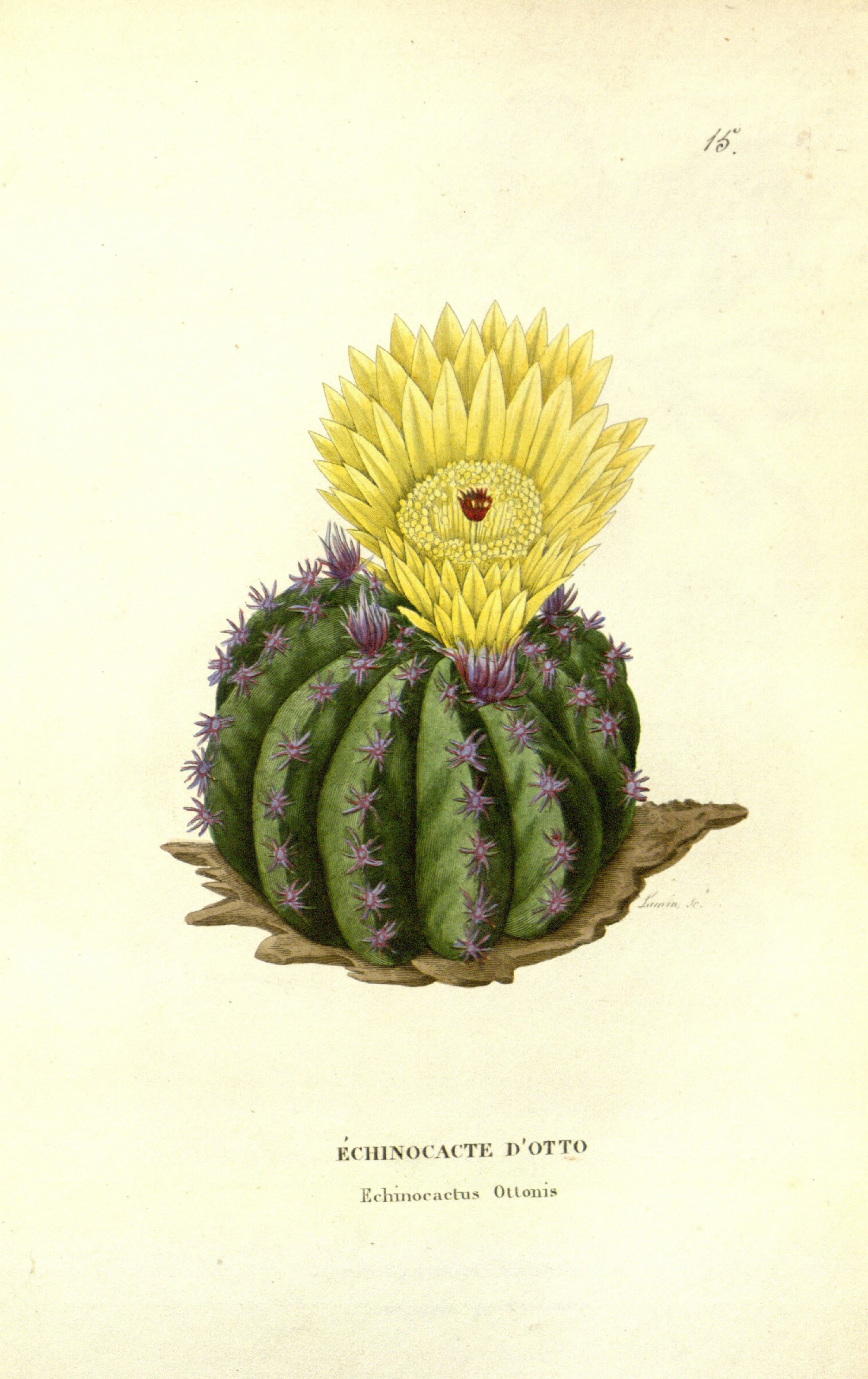 no full size  illustration available (3a)