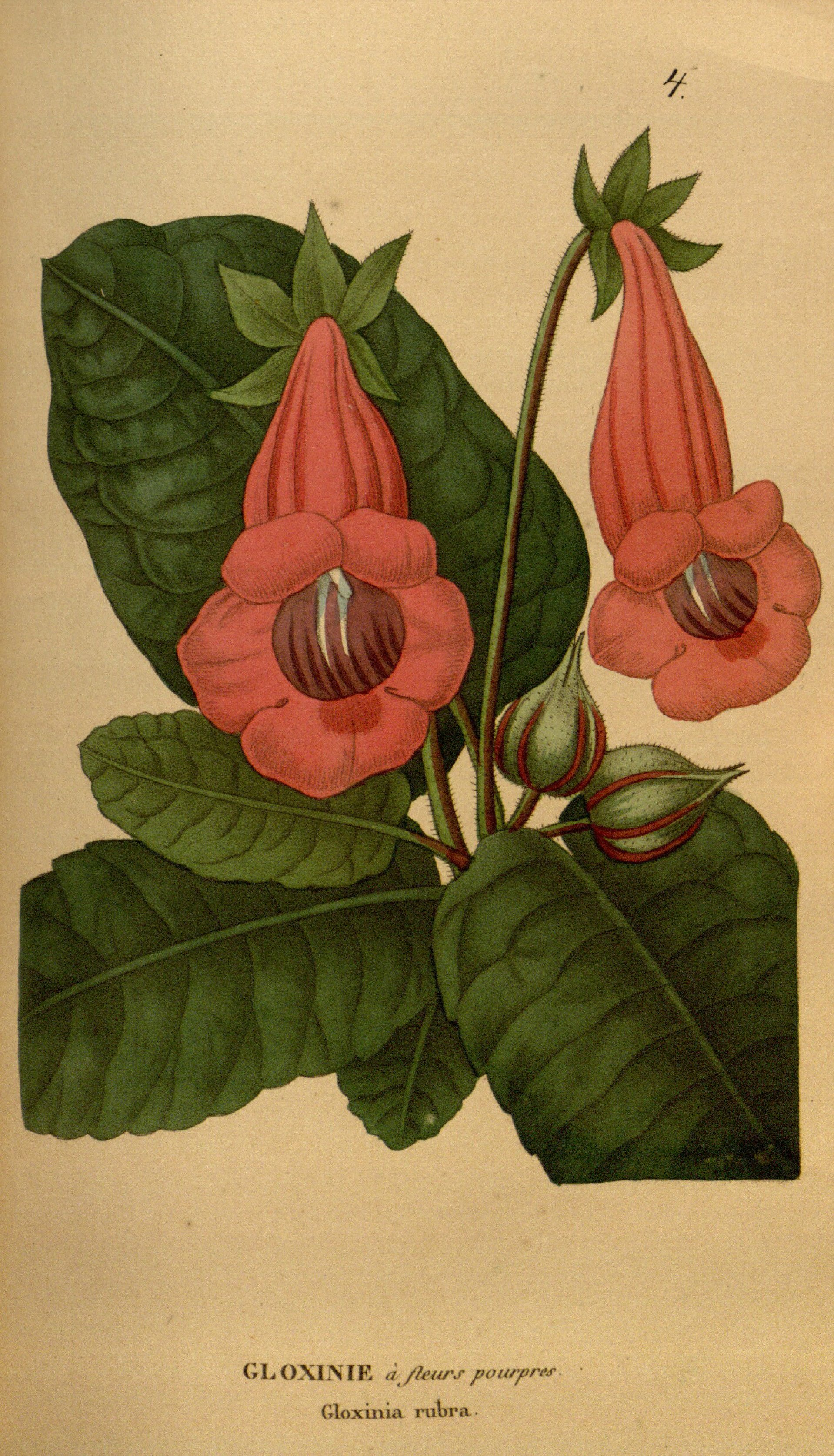 no full size  illustration available (3a)