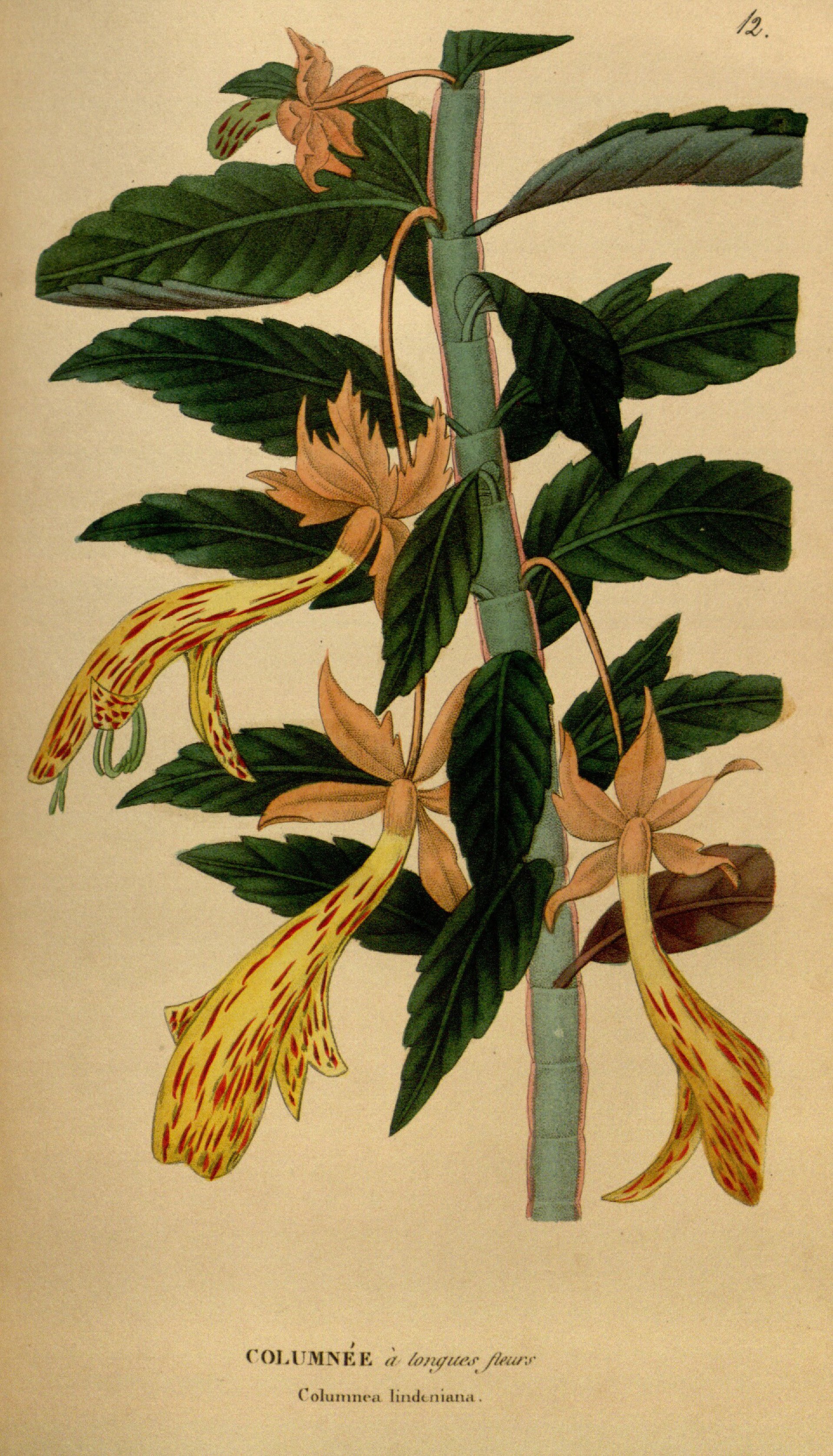 no full size  illustration available (3a)