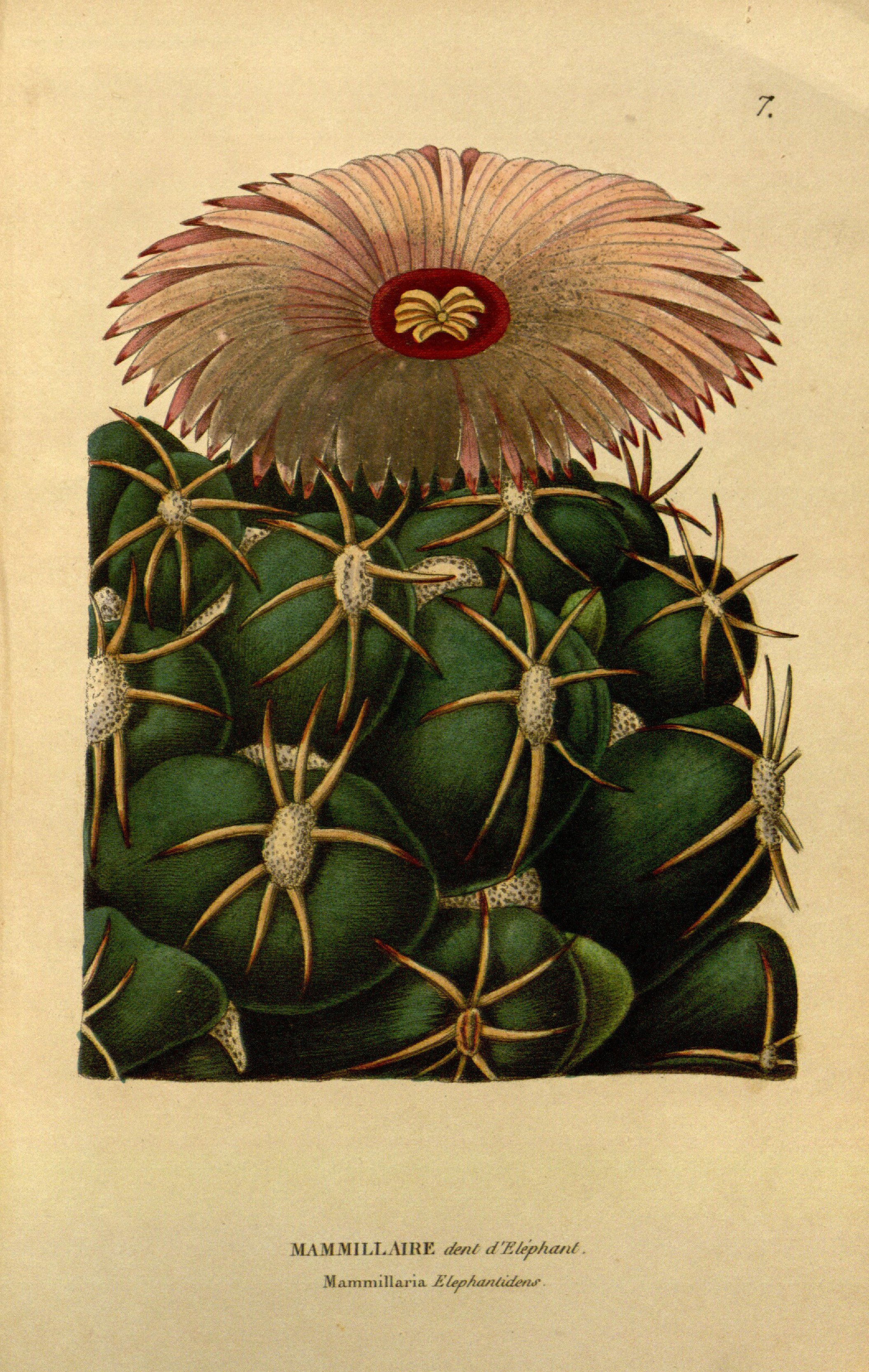 no full size  illustration available (3a)