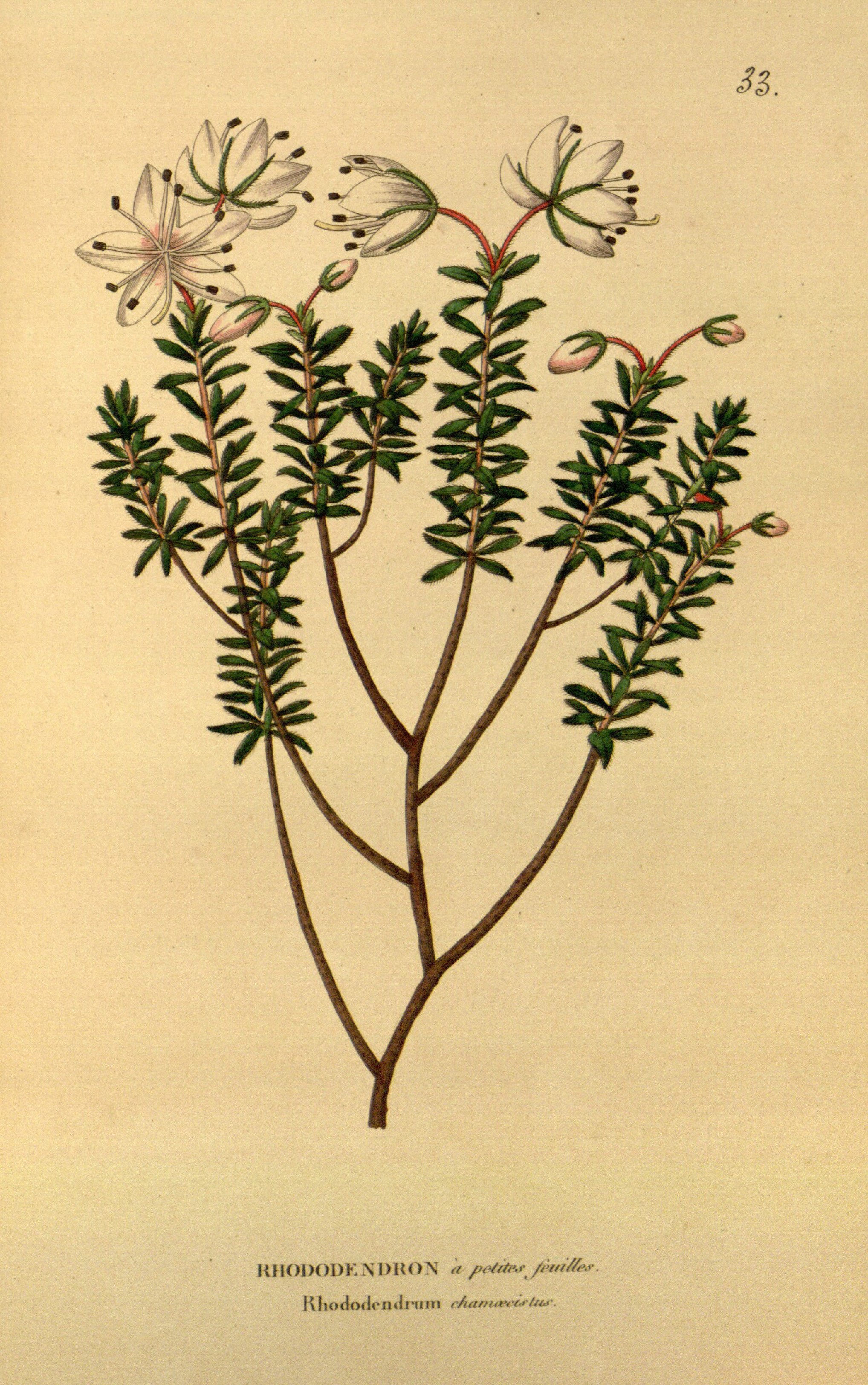 no full size  illustration available (3a)