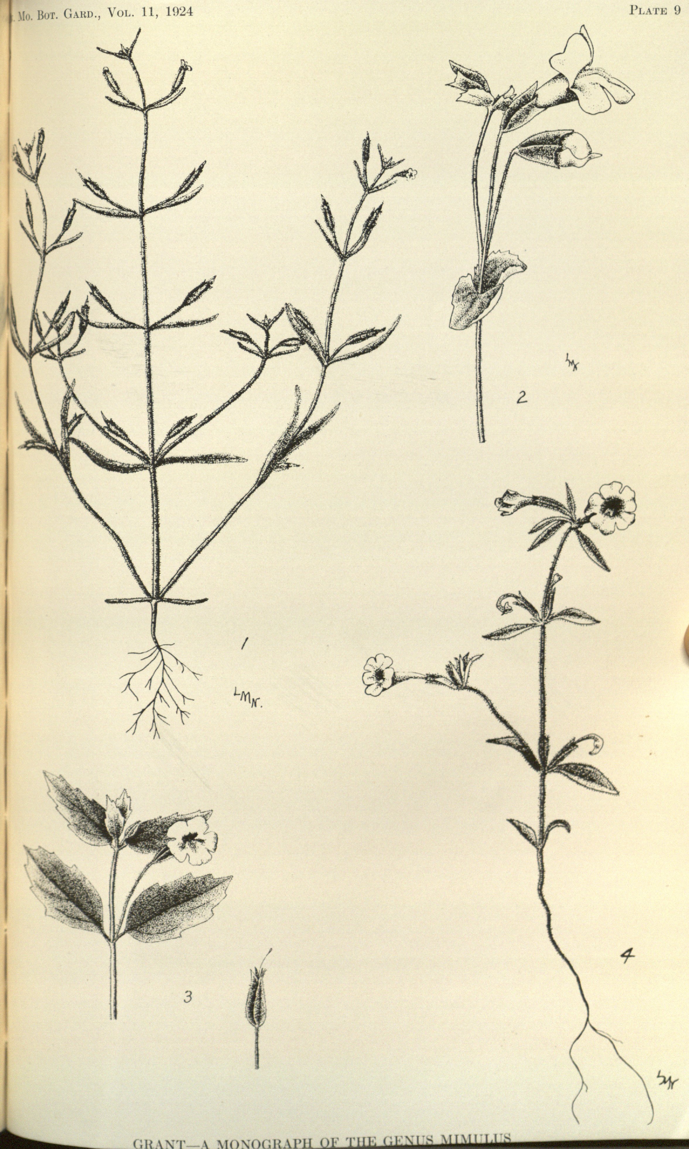 no full size  illustration available (3a)