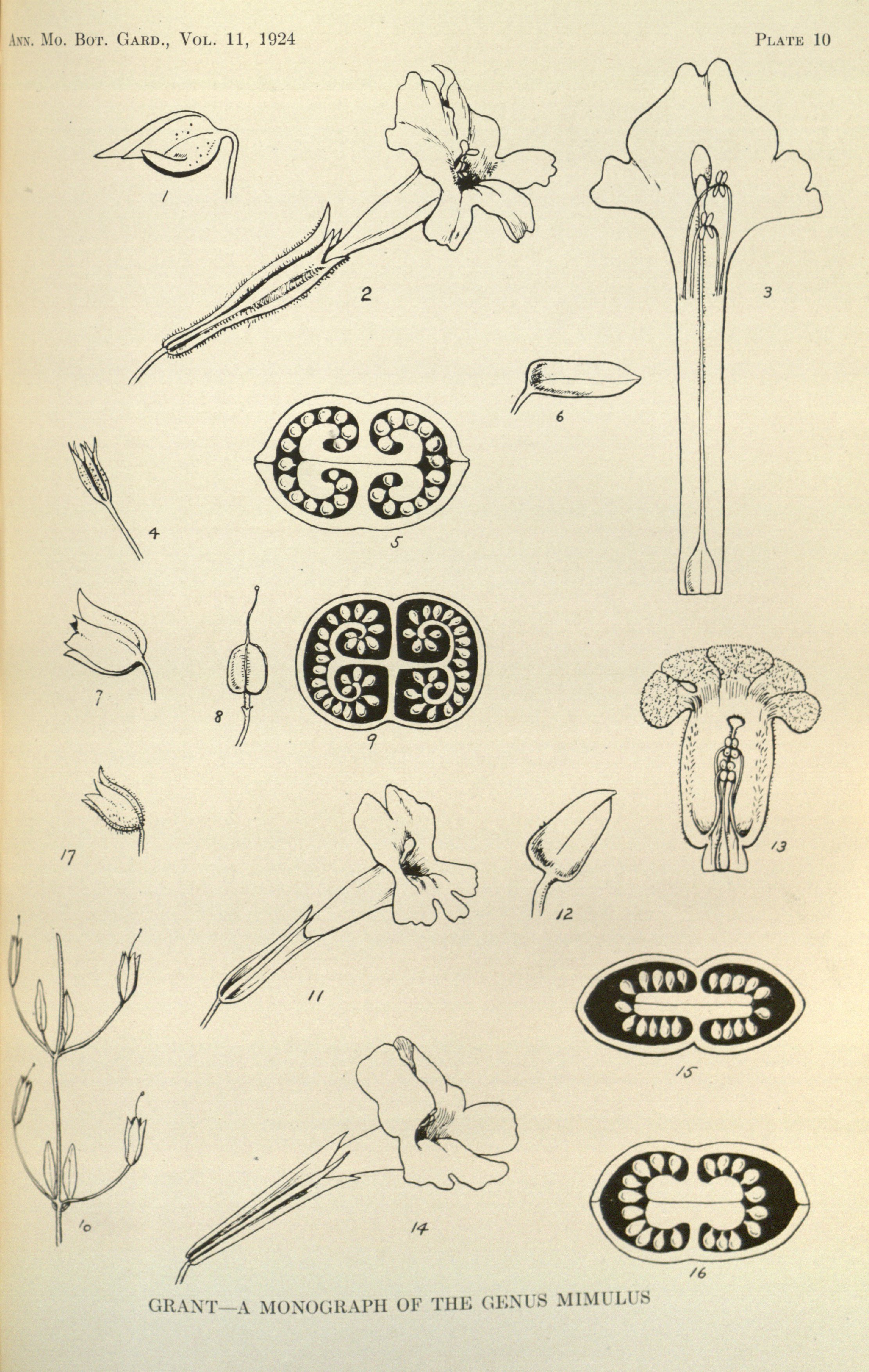 no full size  illustration available (3a)