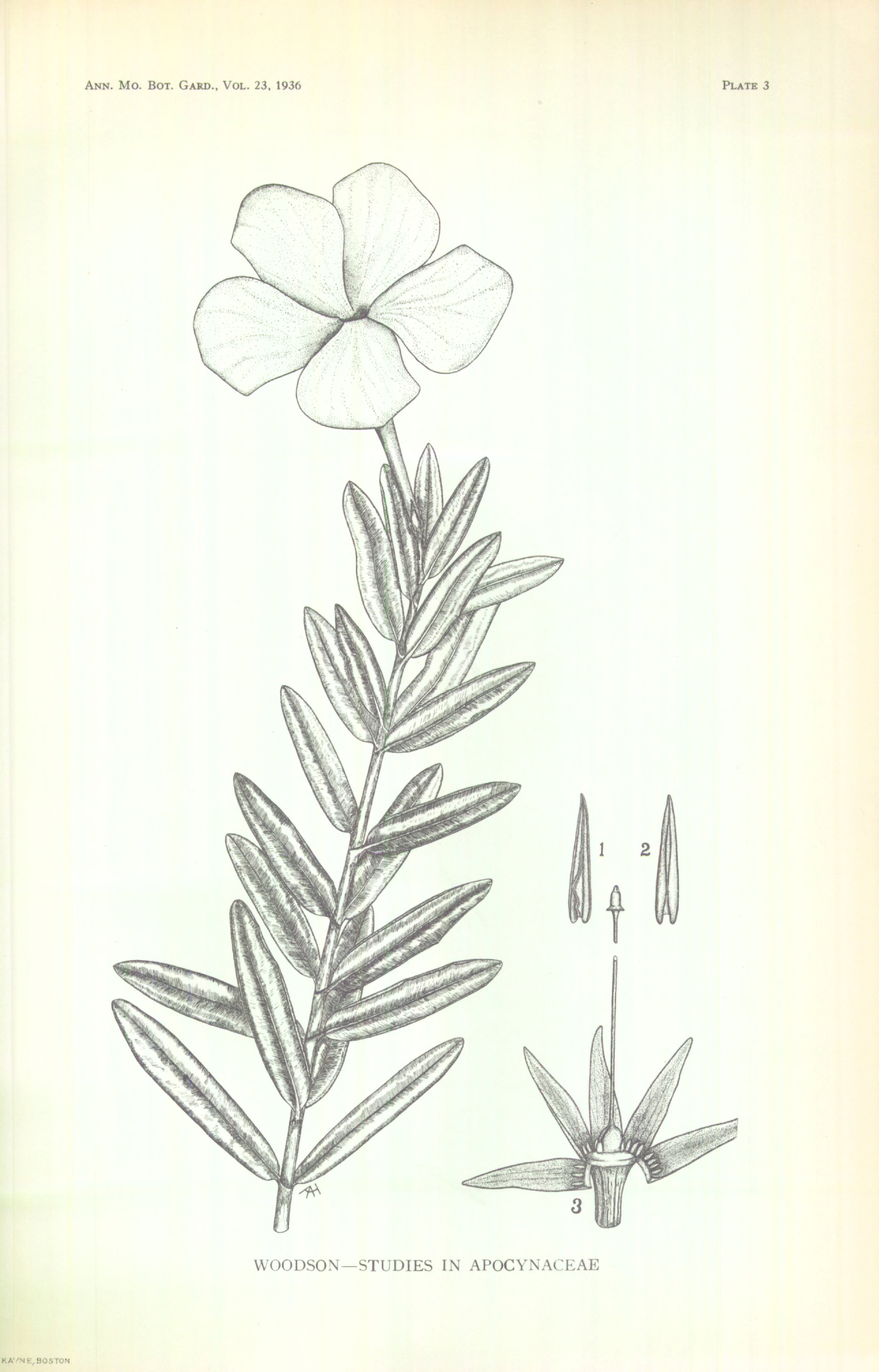 no full size  illustration available (3a)