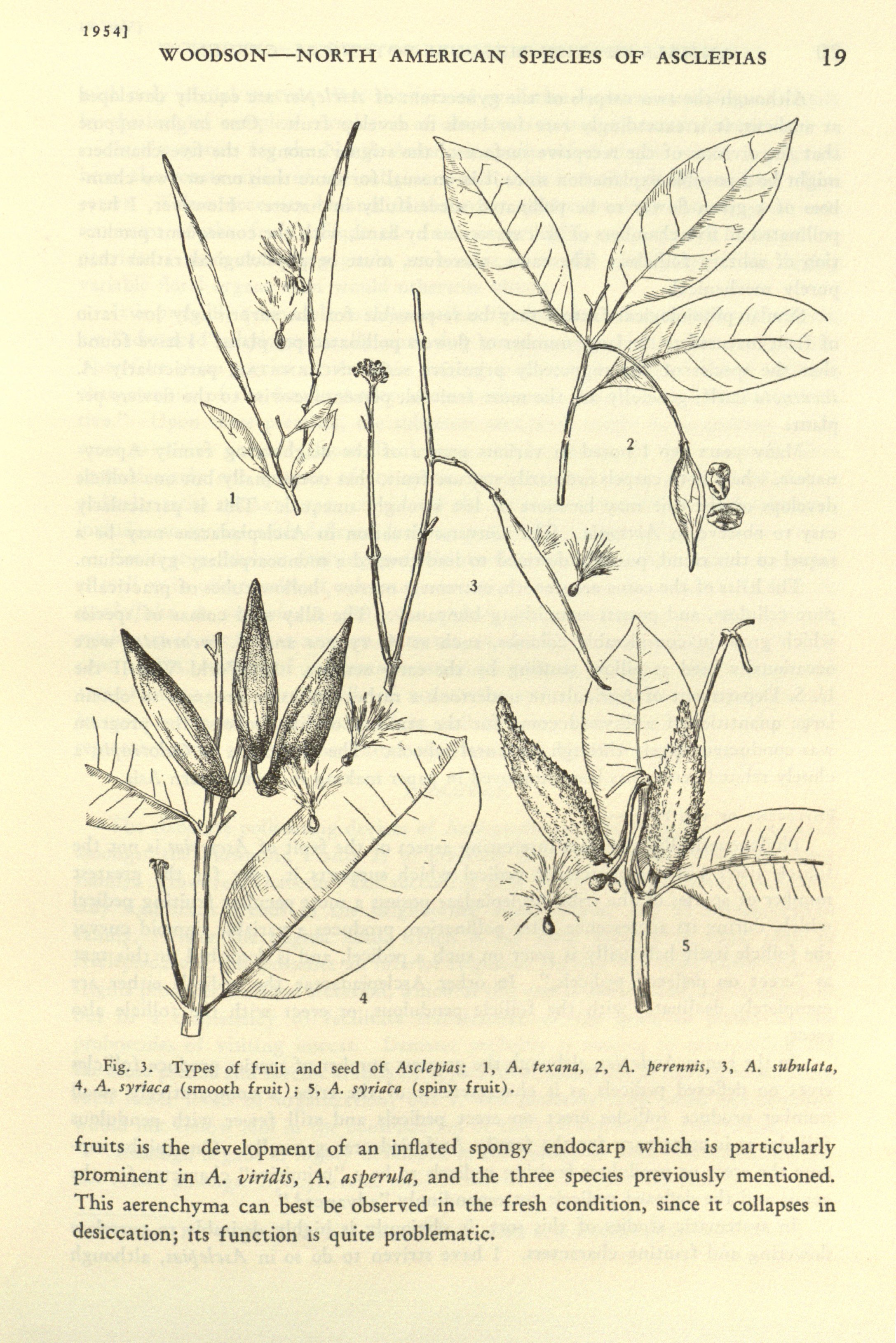 no full size  illustration available (3a)