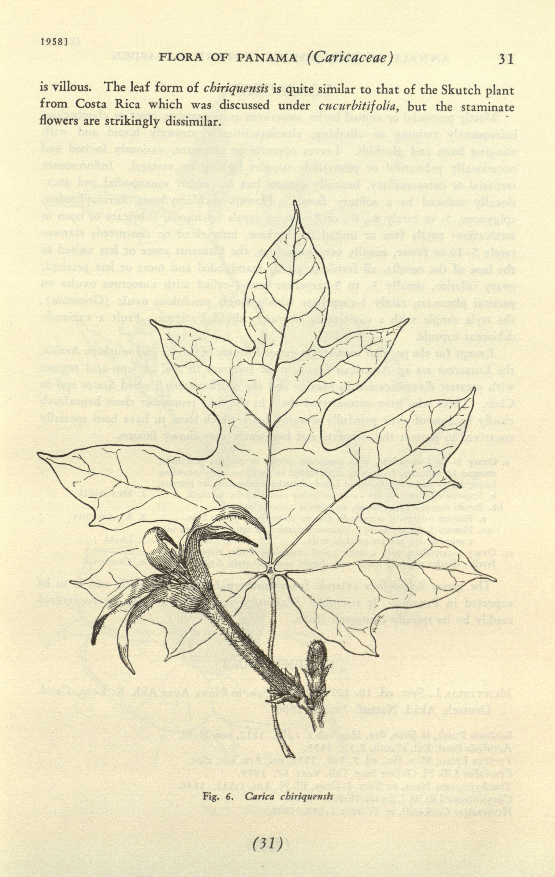 no full size  illustration available (3a)