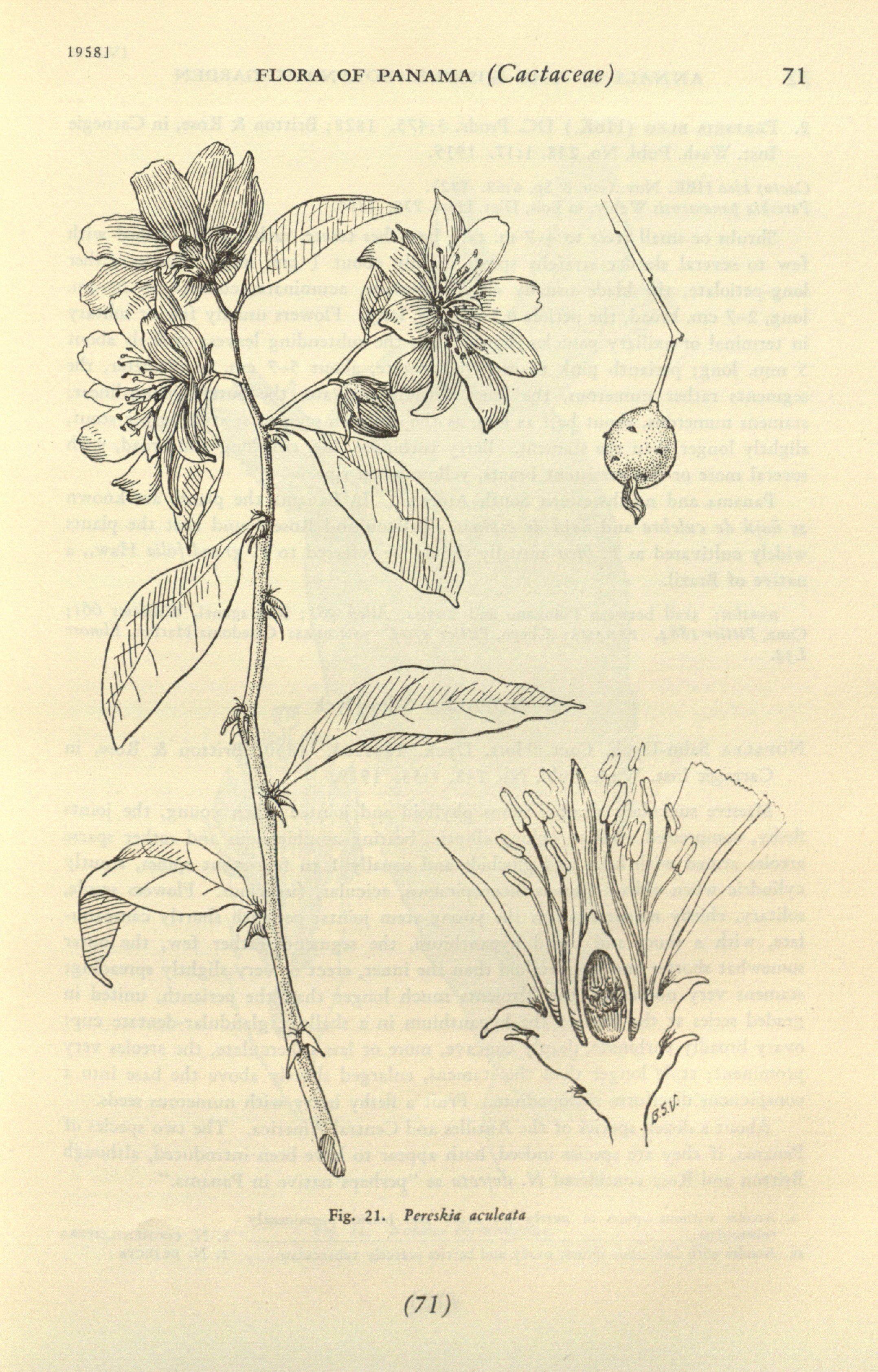 no full size  illustration available (3a)