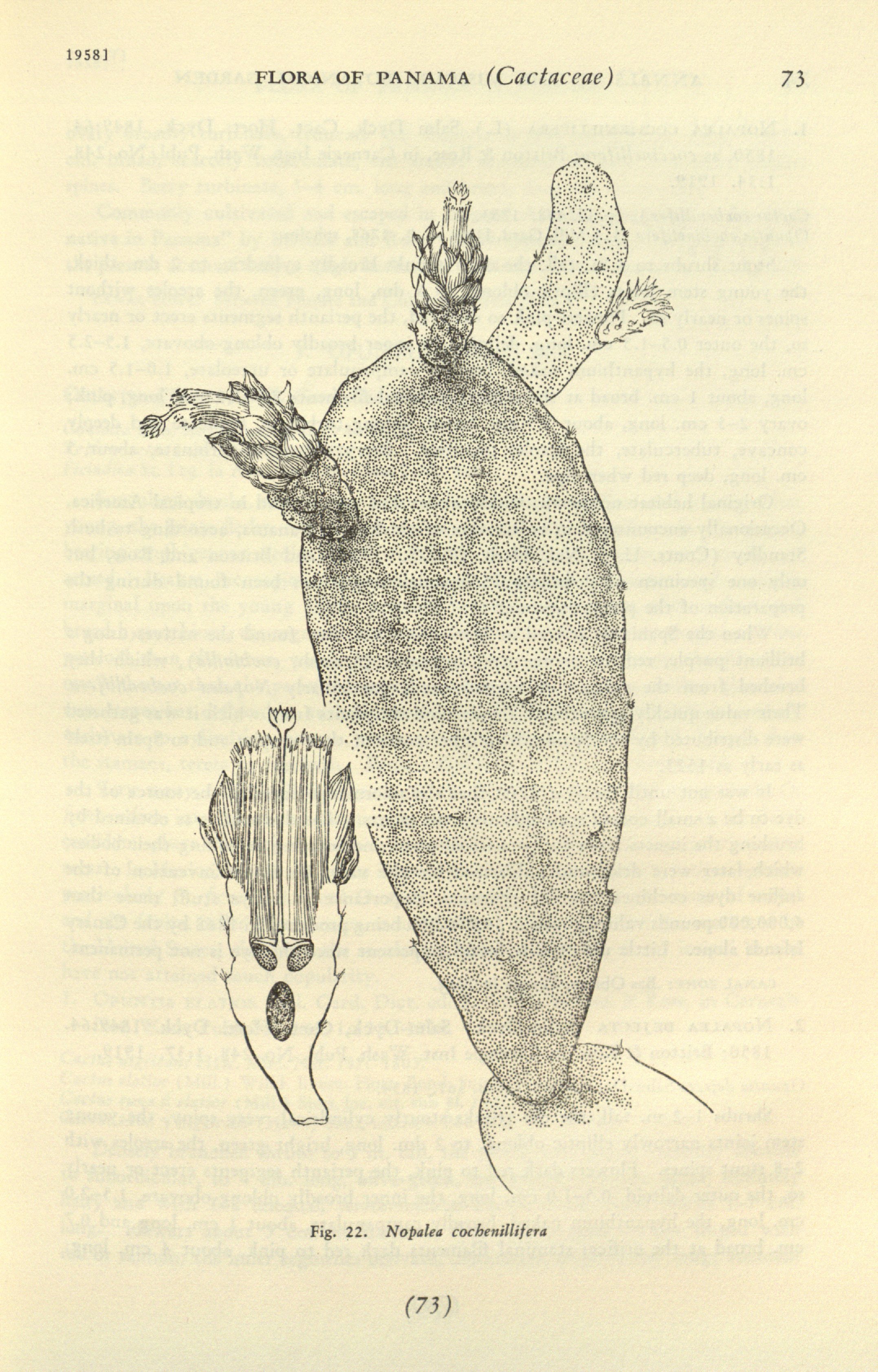 no full size  illustration available (3a)