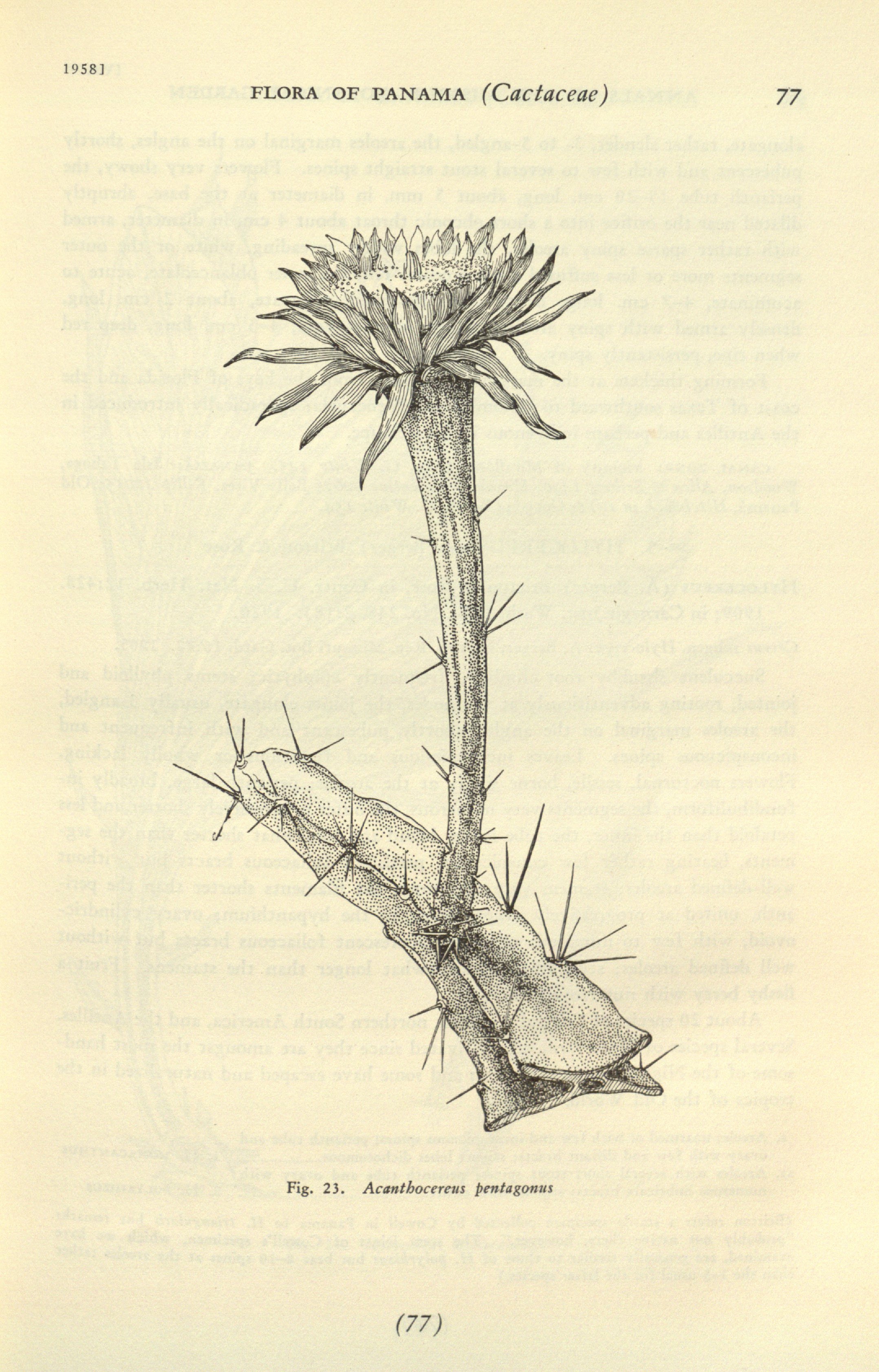 no full size  illustration available (3a)