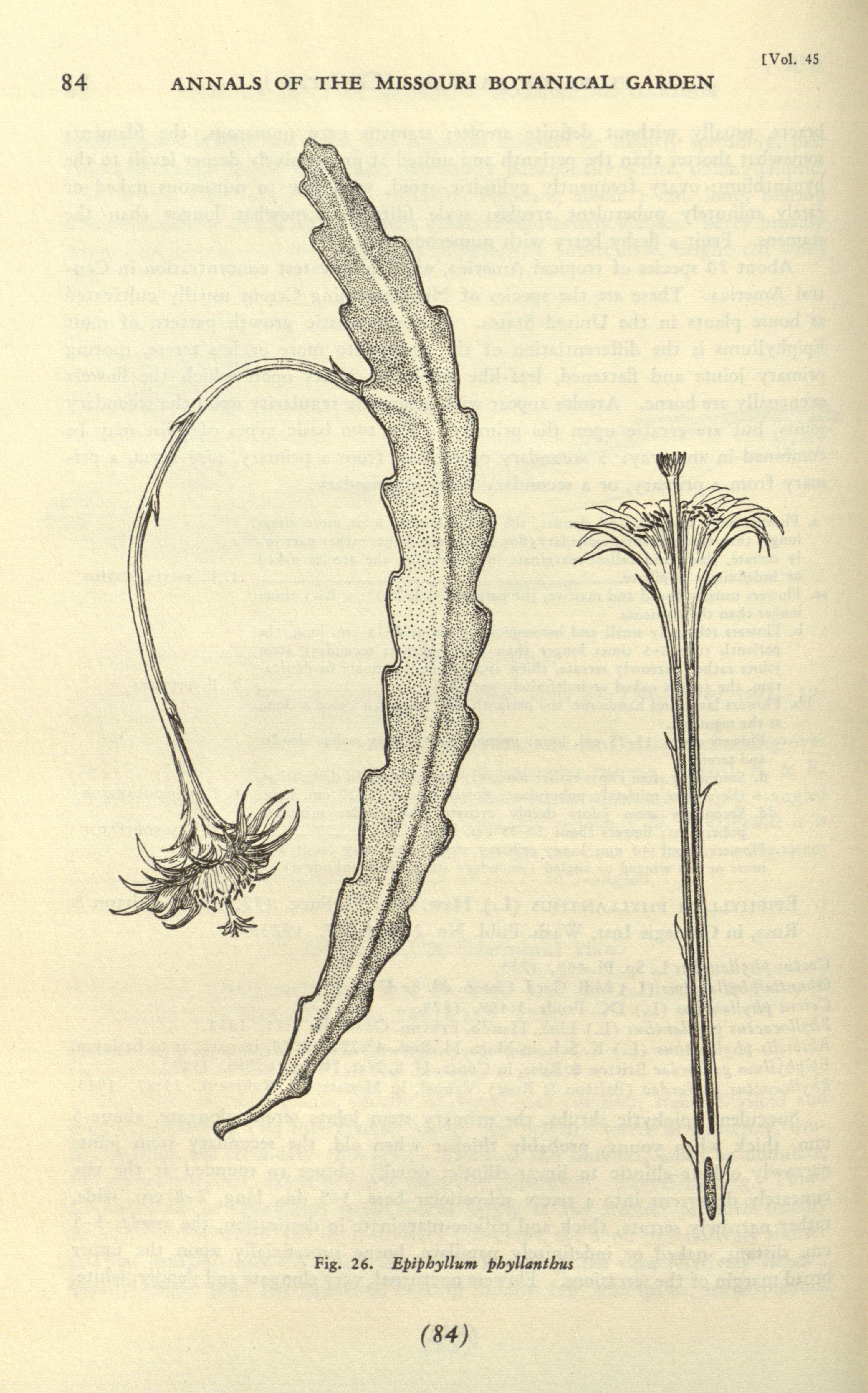 no full size  illustration available (3a)