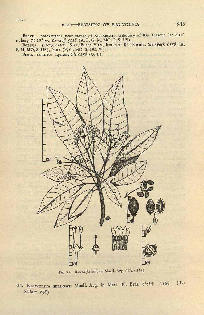 no full size  illustration available (3a)