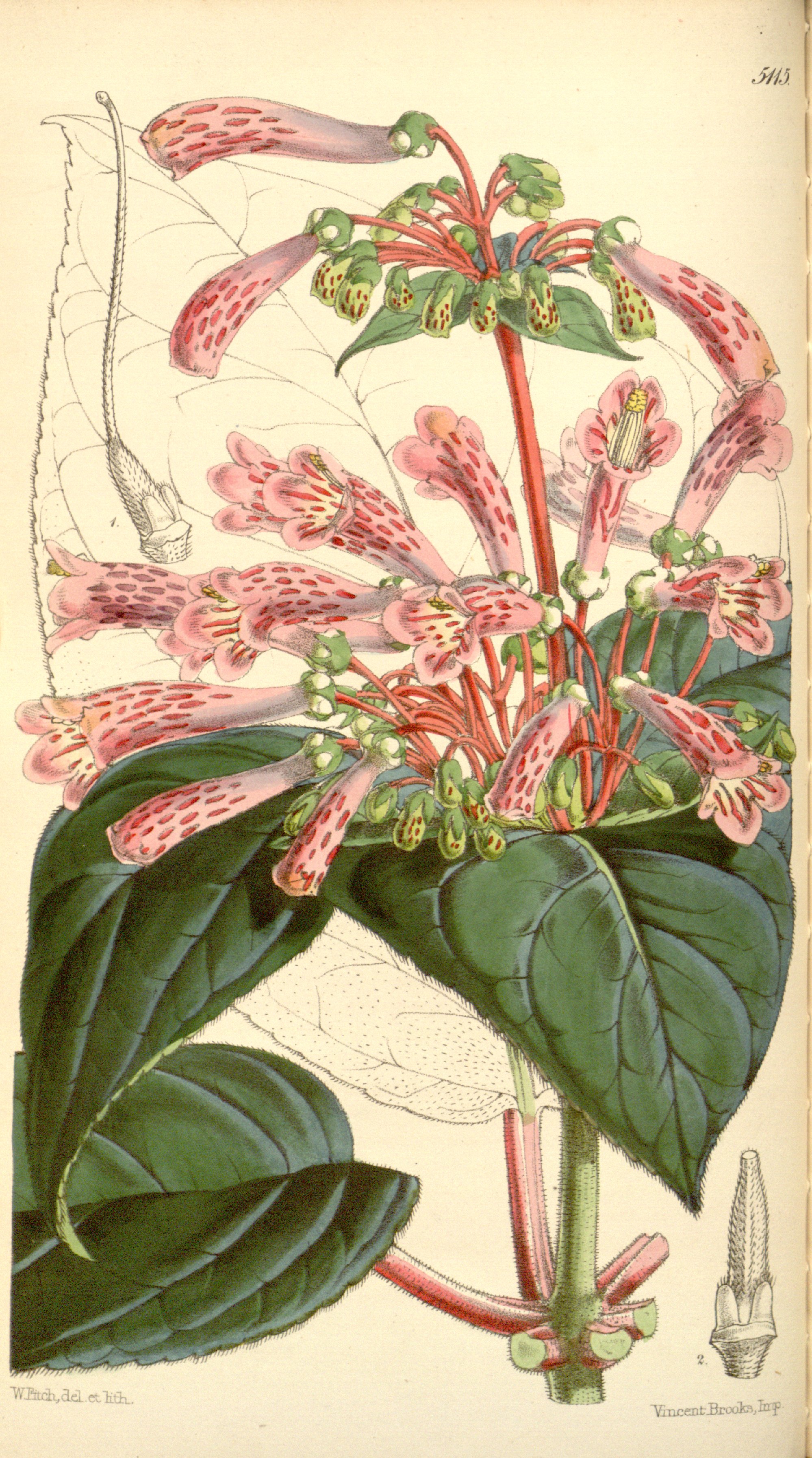 no full size  illustration available (3a)