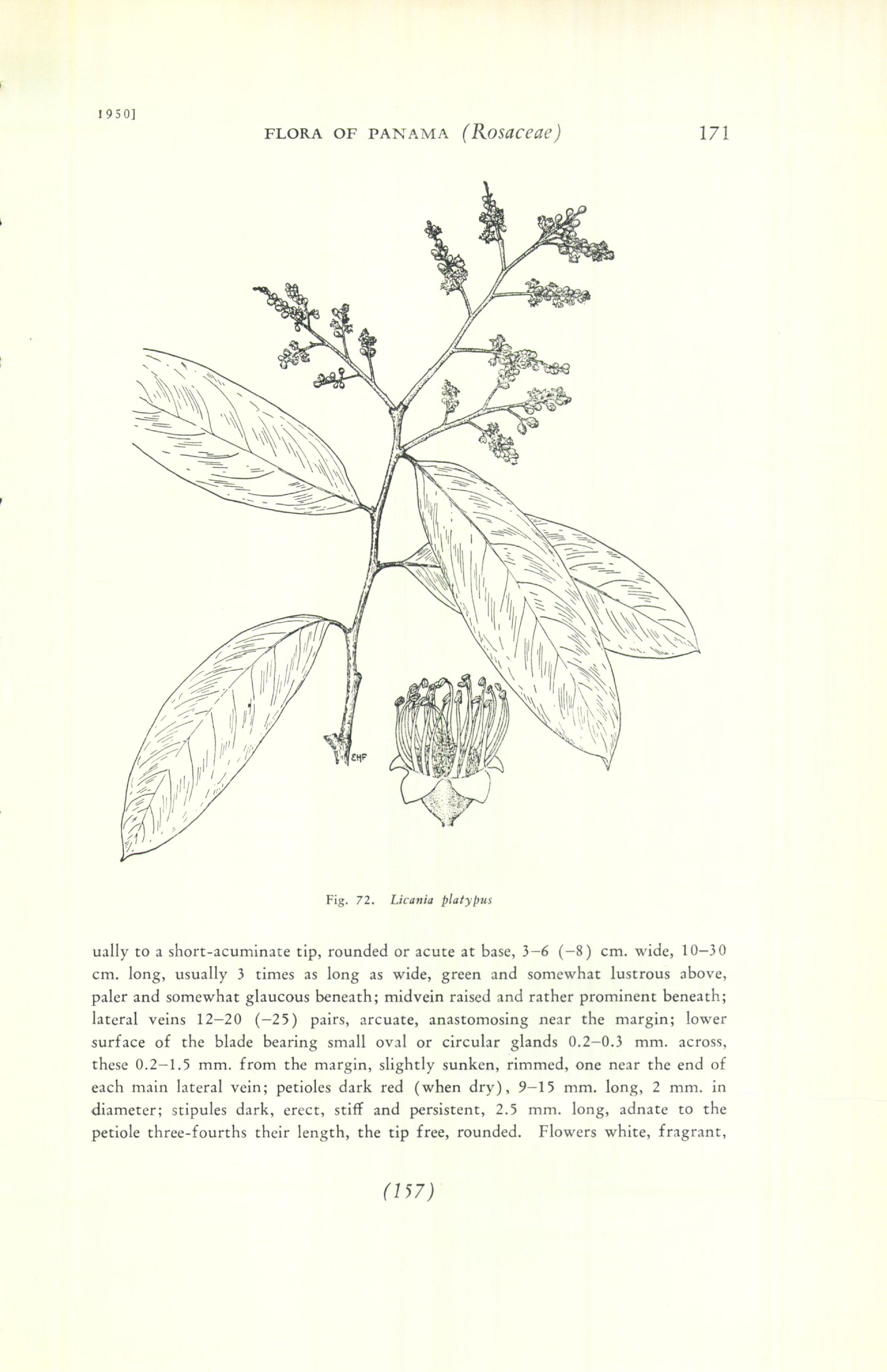 no full size  illustration available (3a)